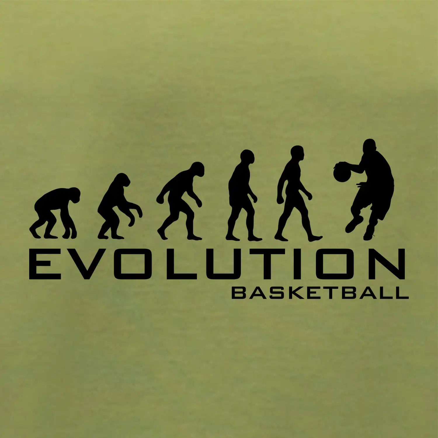 Evoluce Basketball