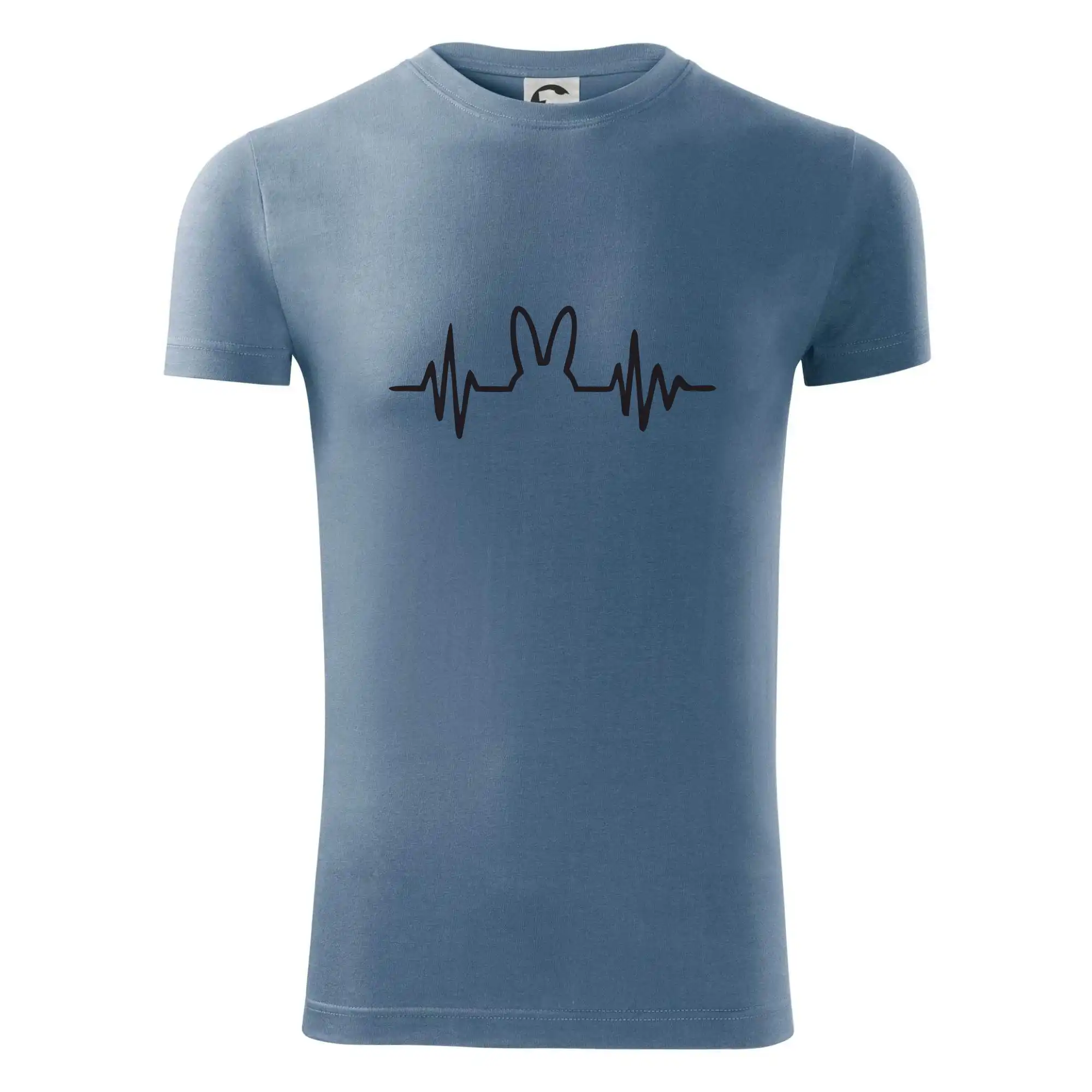 EKG zajíc