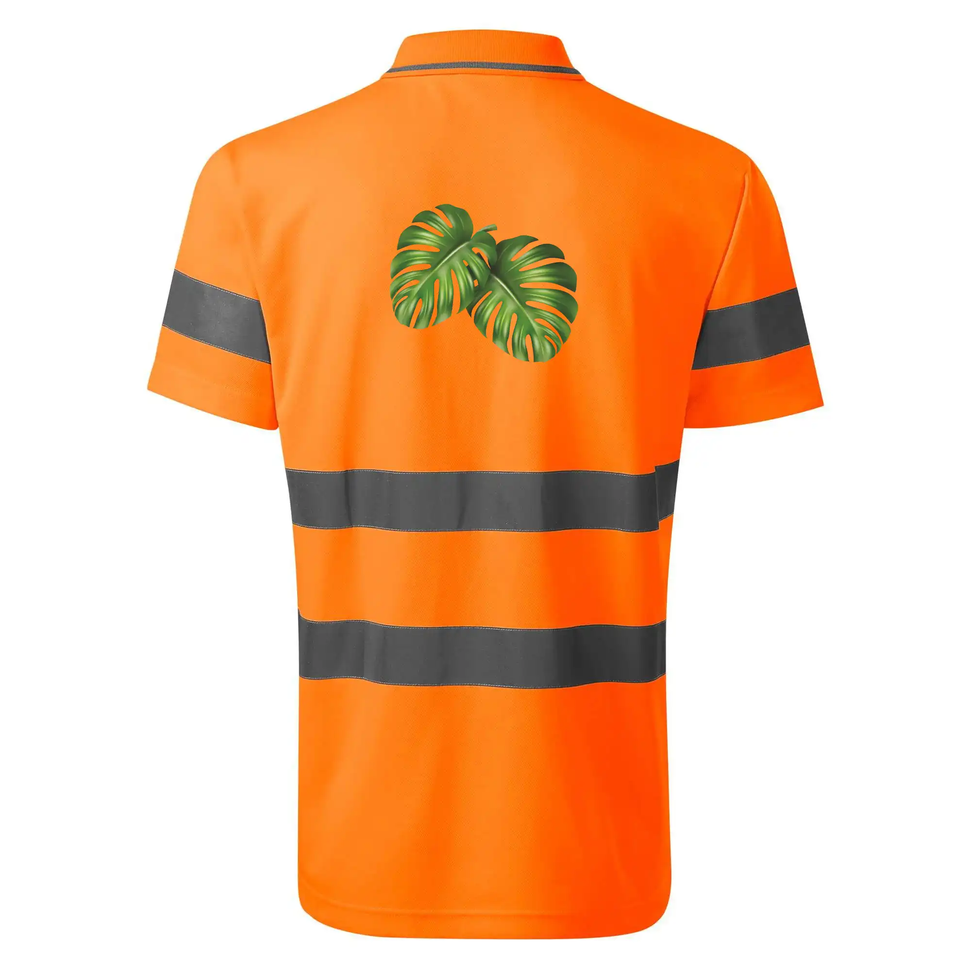 Monstera - dva listy