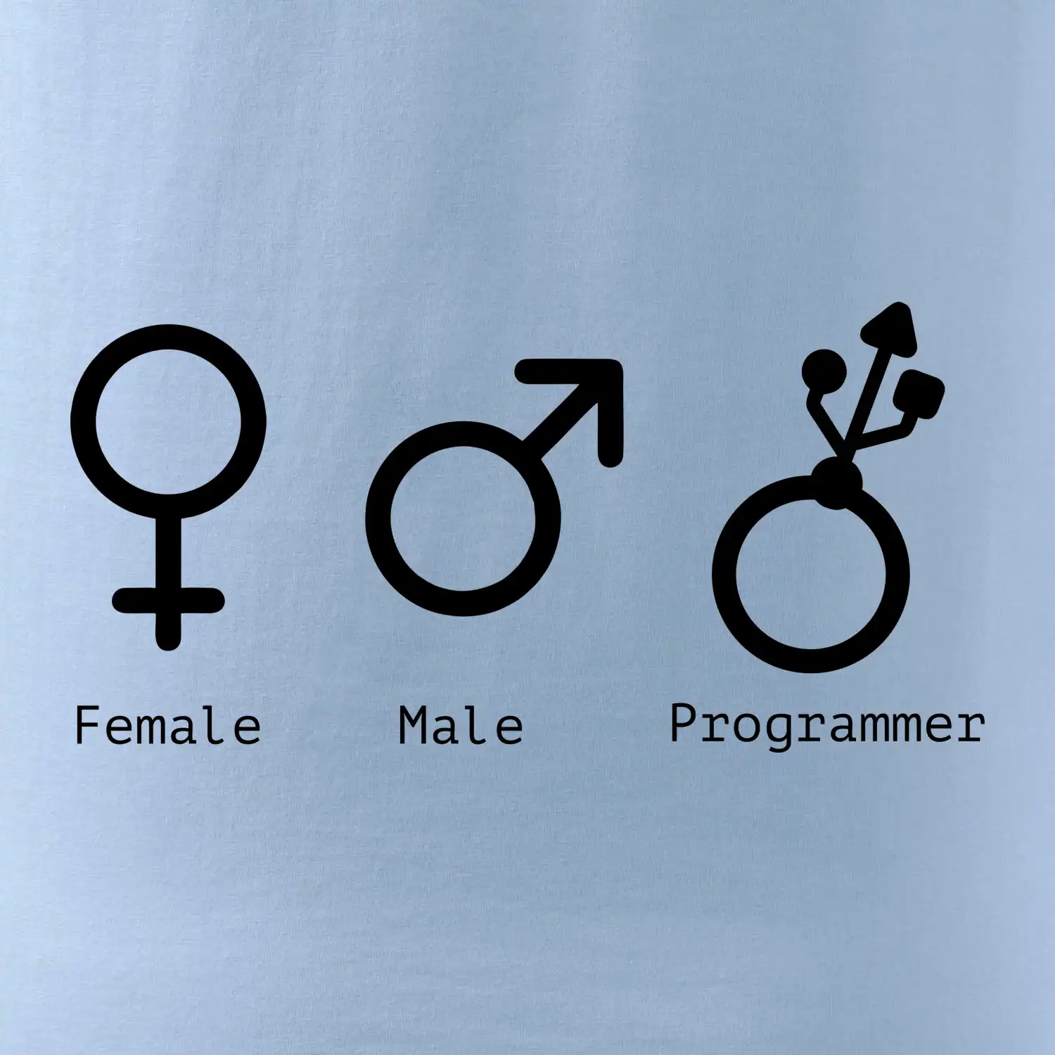 Female male programmer