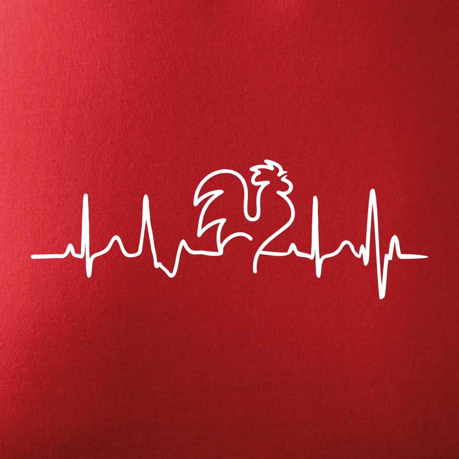 Kohout ekg