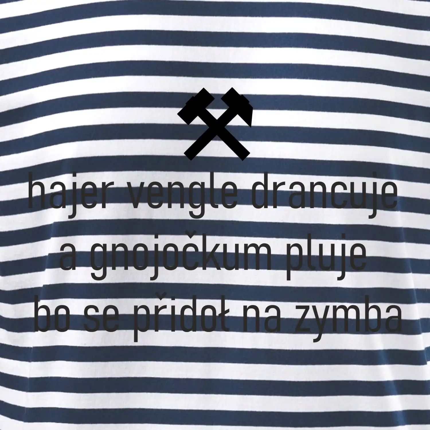 Hajer vengle drancuje a gnojočkum pluje bo se přidoł na zymba