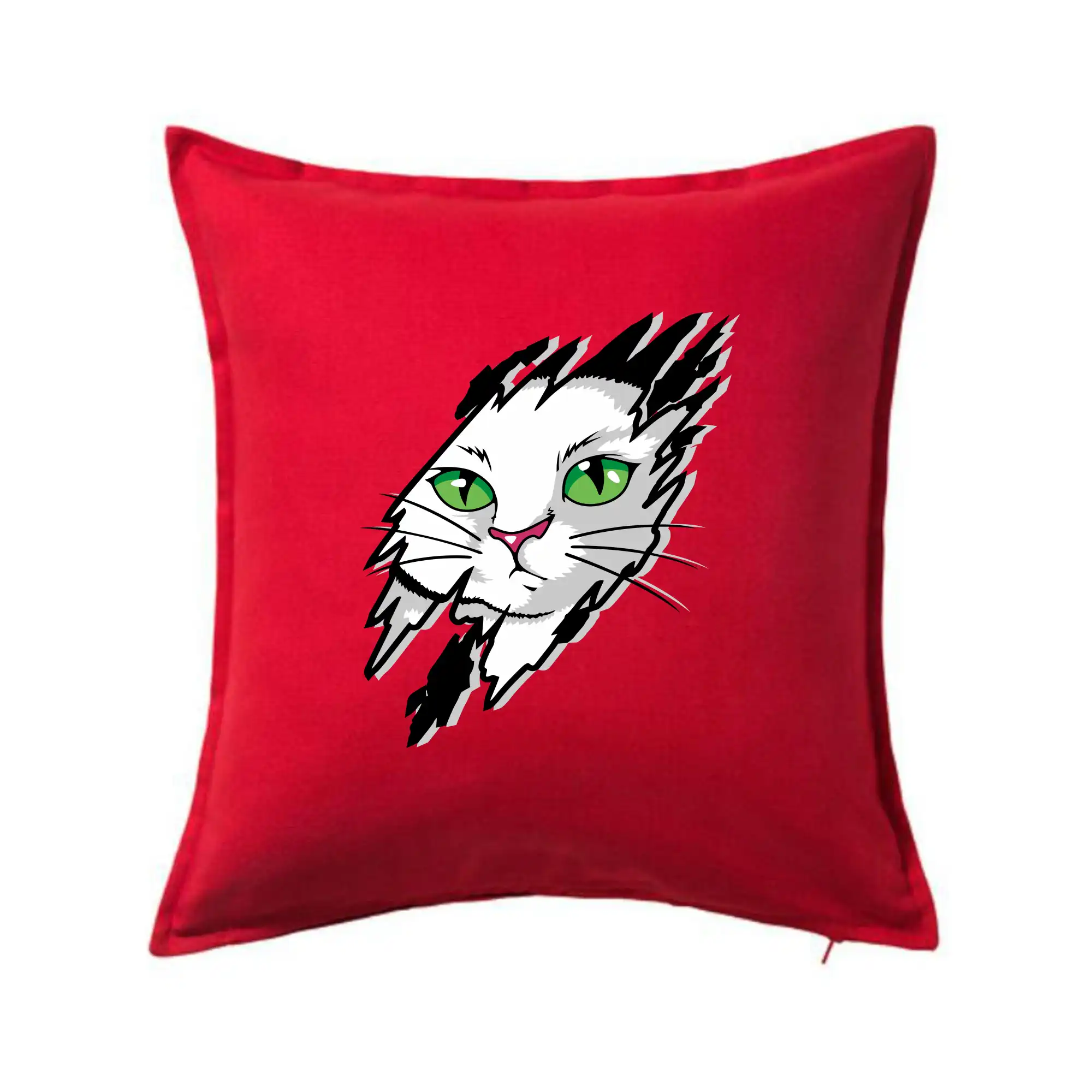 Kočka v roztrženém triku