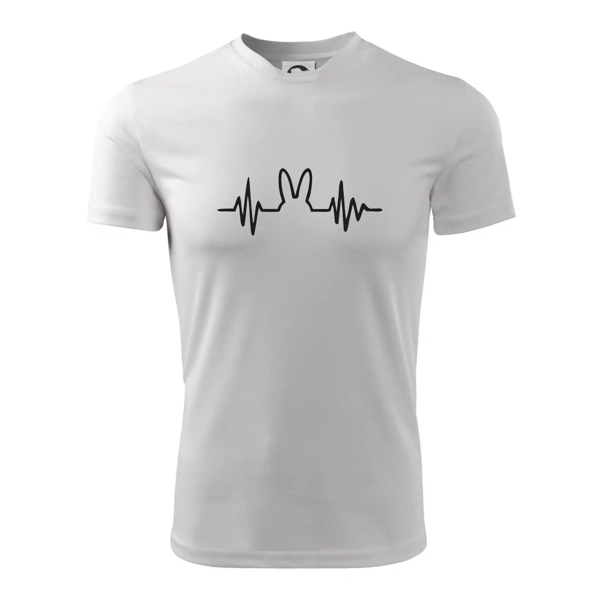EKG zajíc