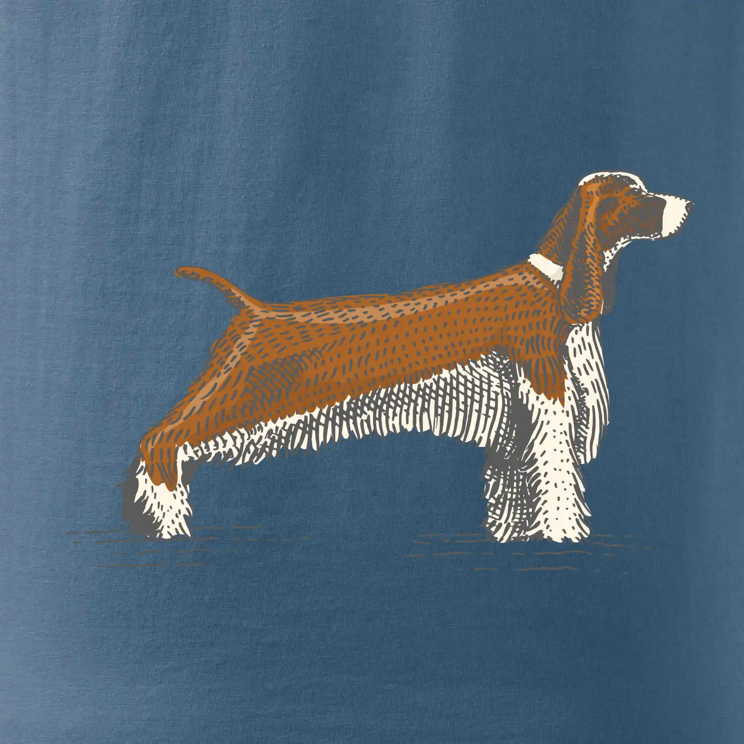 Vintage Springer spaniel