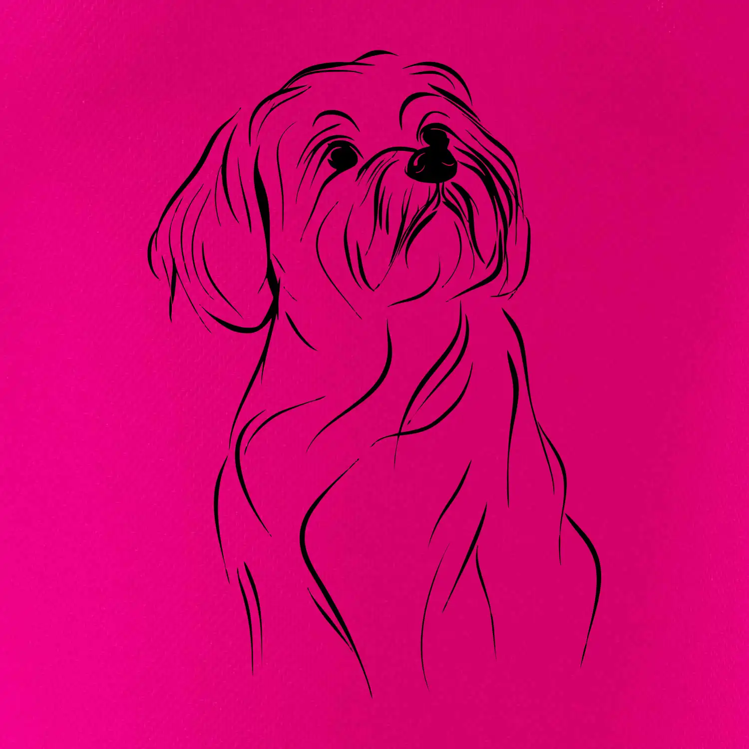 Lhasa Apso černý nákres slabé linky