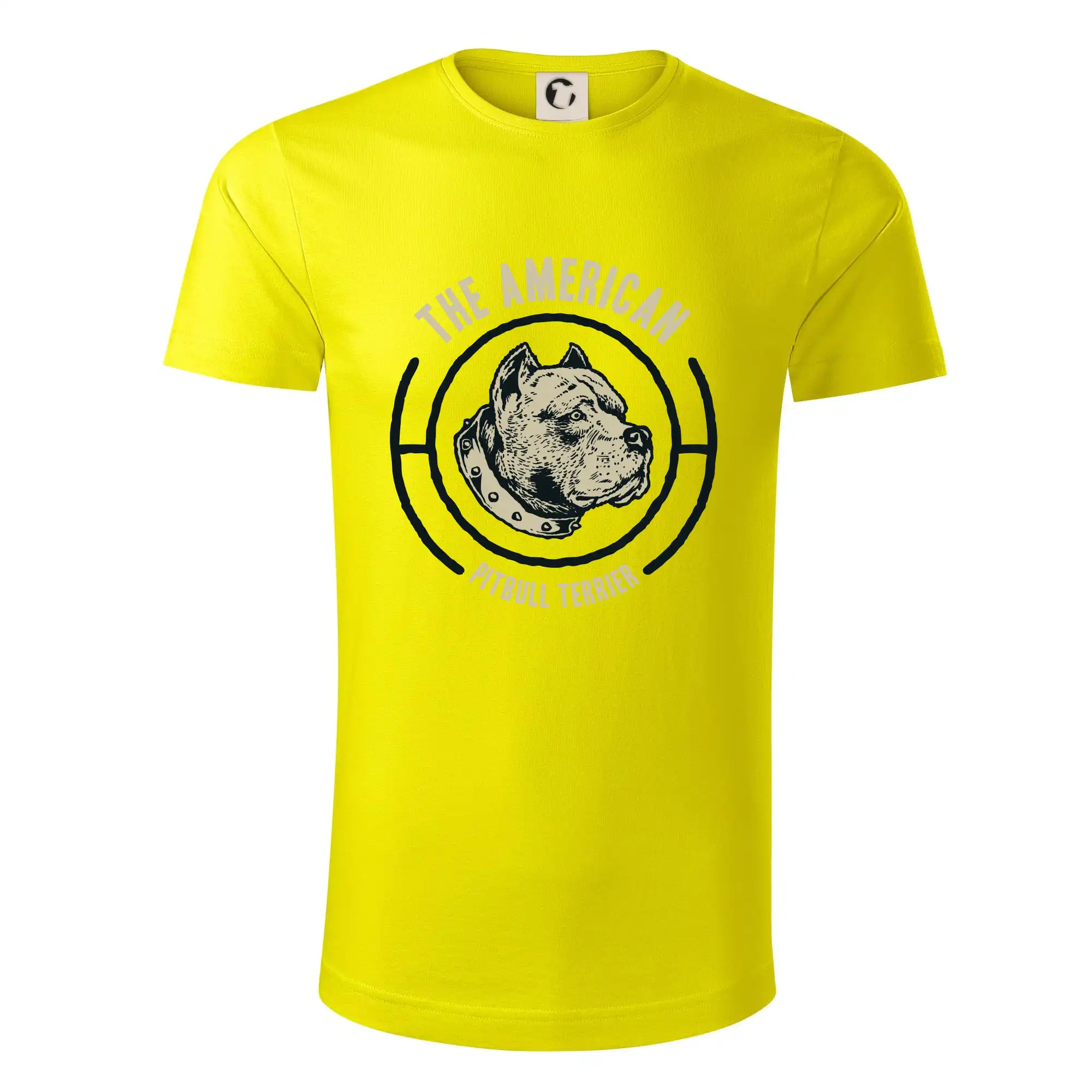 Americký pitbull terier hlava