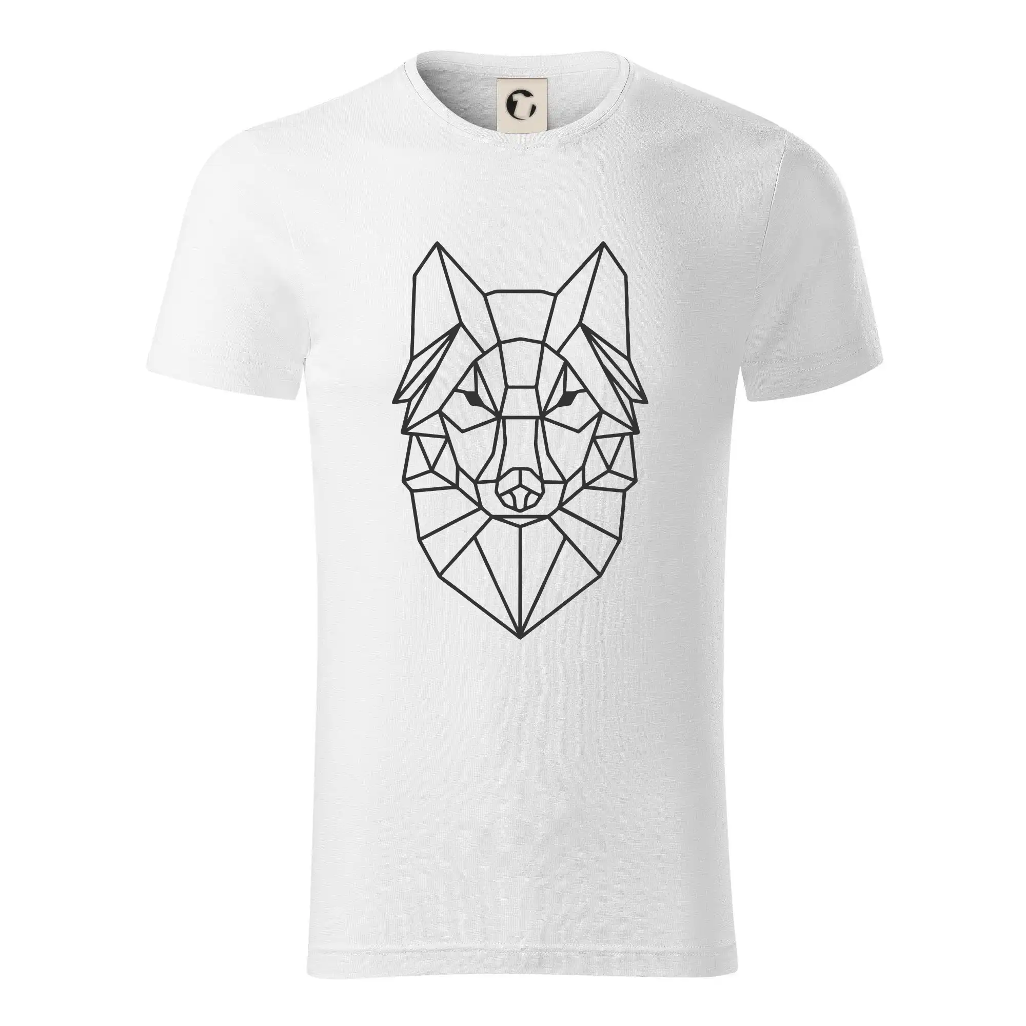 Geometrie - vlk