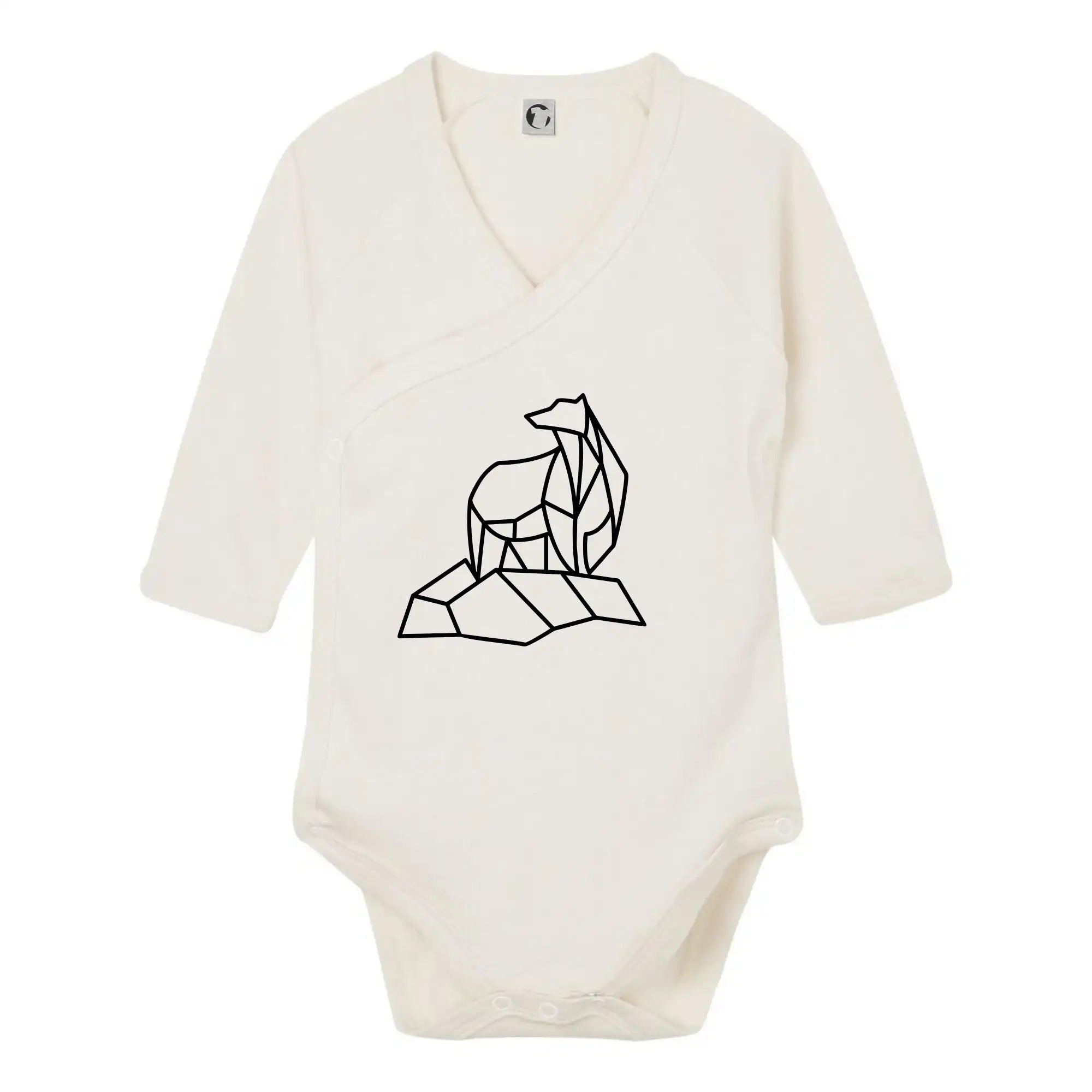 Geometrie lední medvěd na ledu