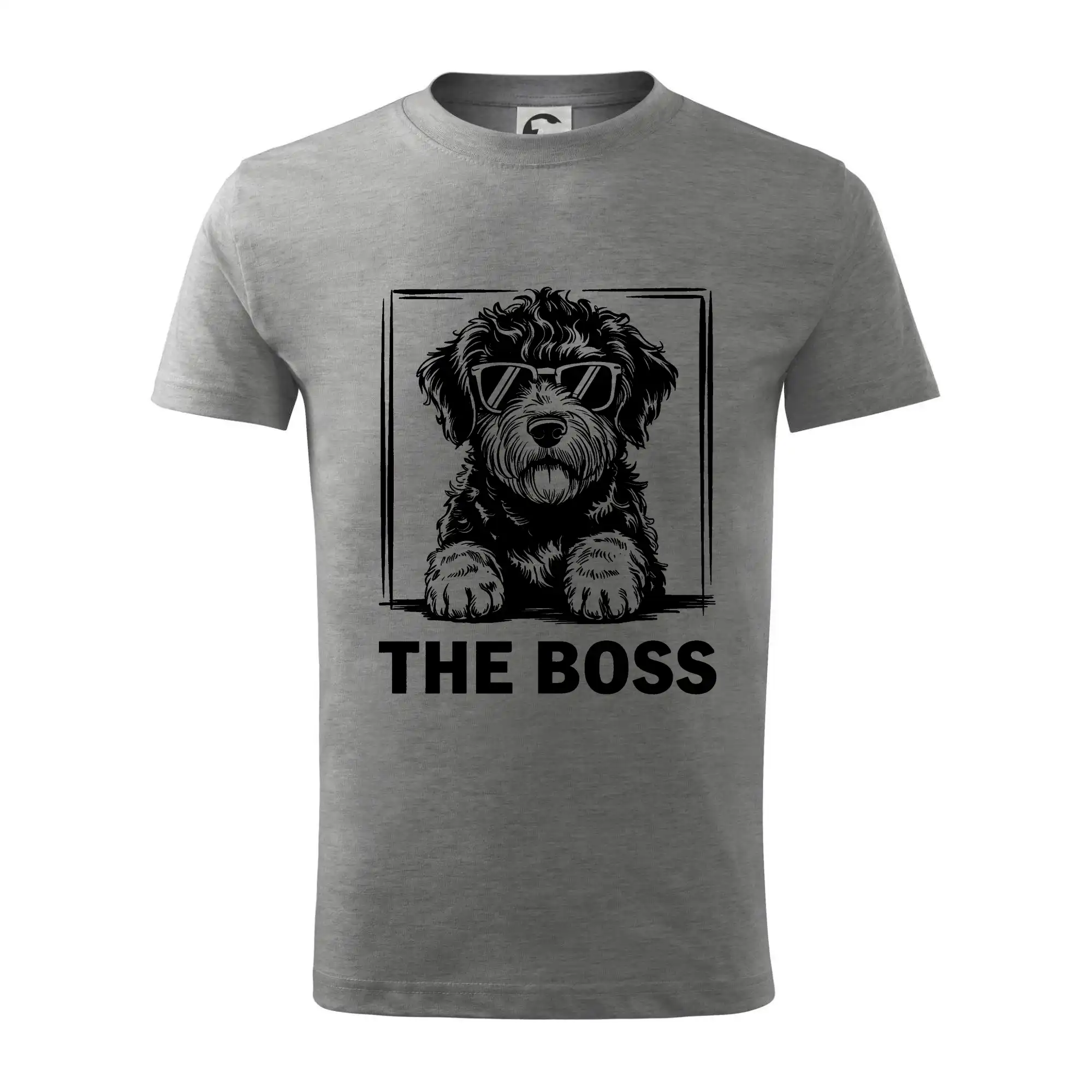 Lagotto romagnolo the boss