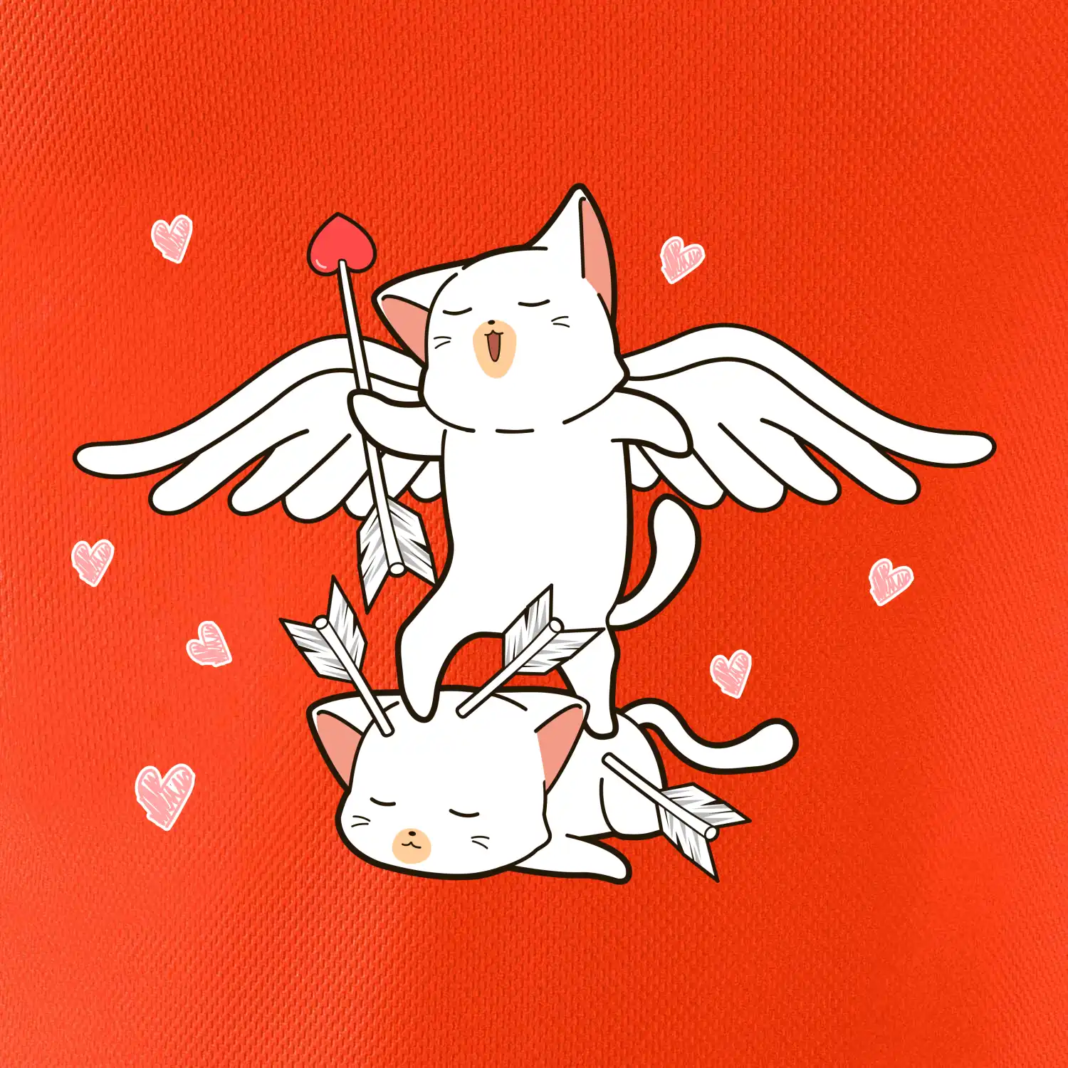 Kočky Amorův šíp