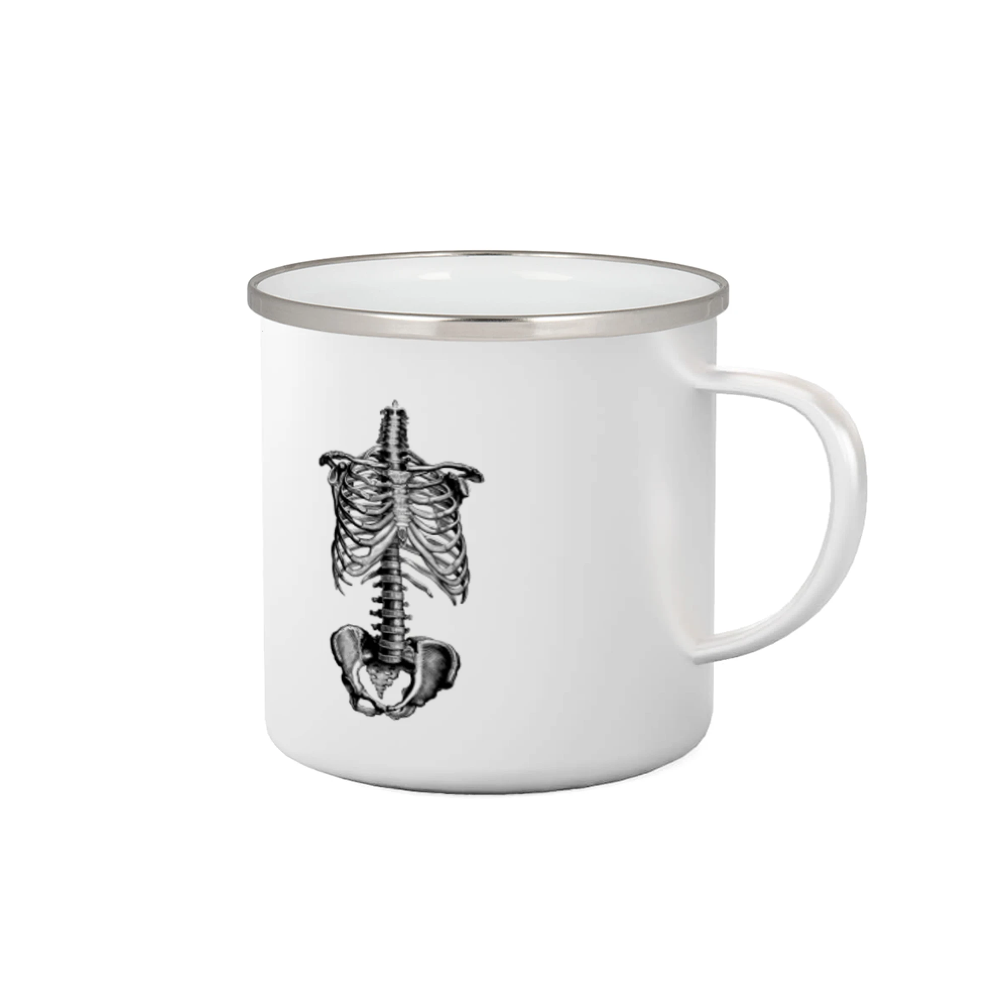 Kostra tela - Plecháčik