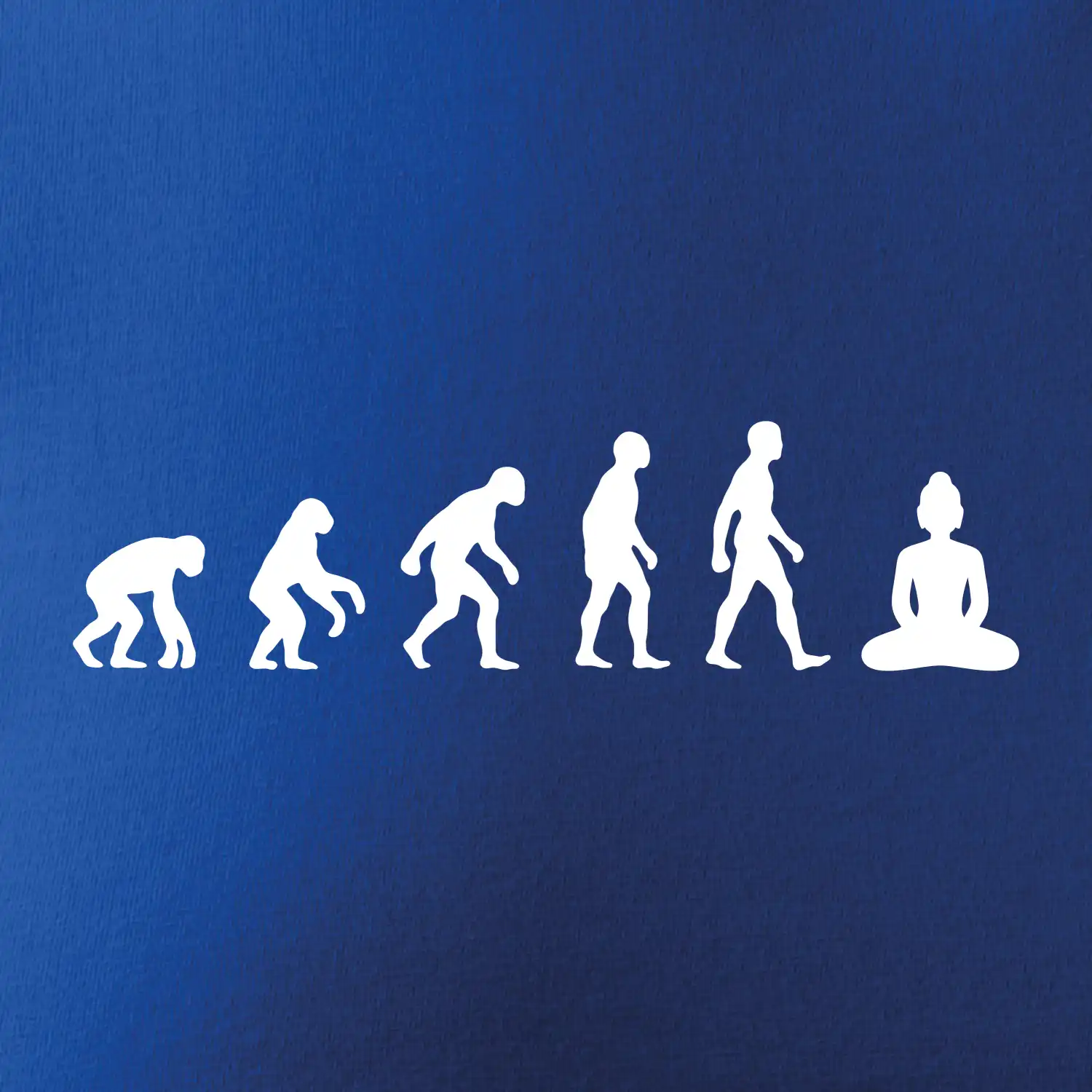 Evoluce budha