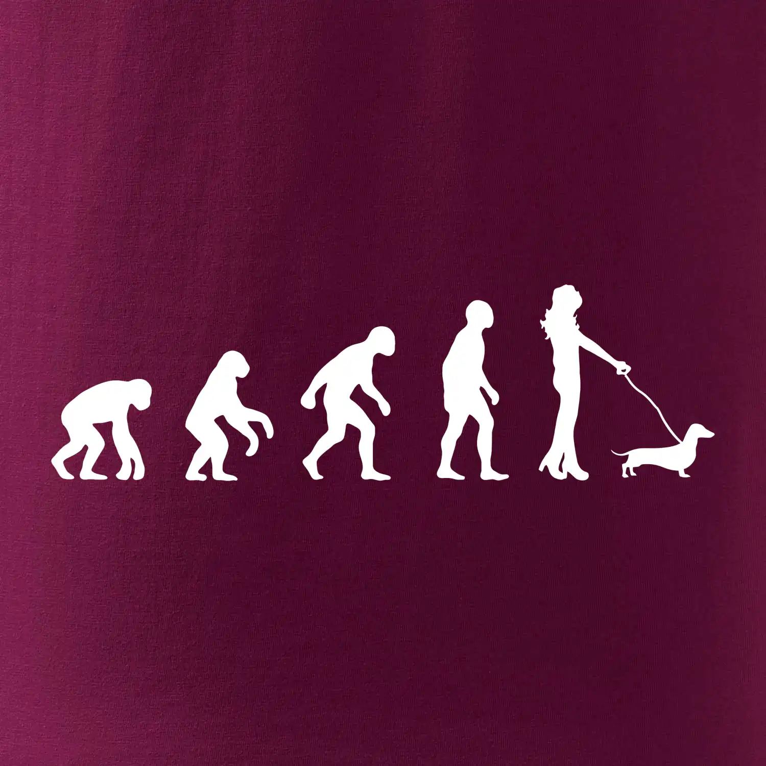 Jezevčík Evoluce žena