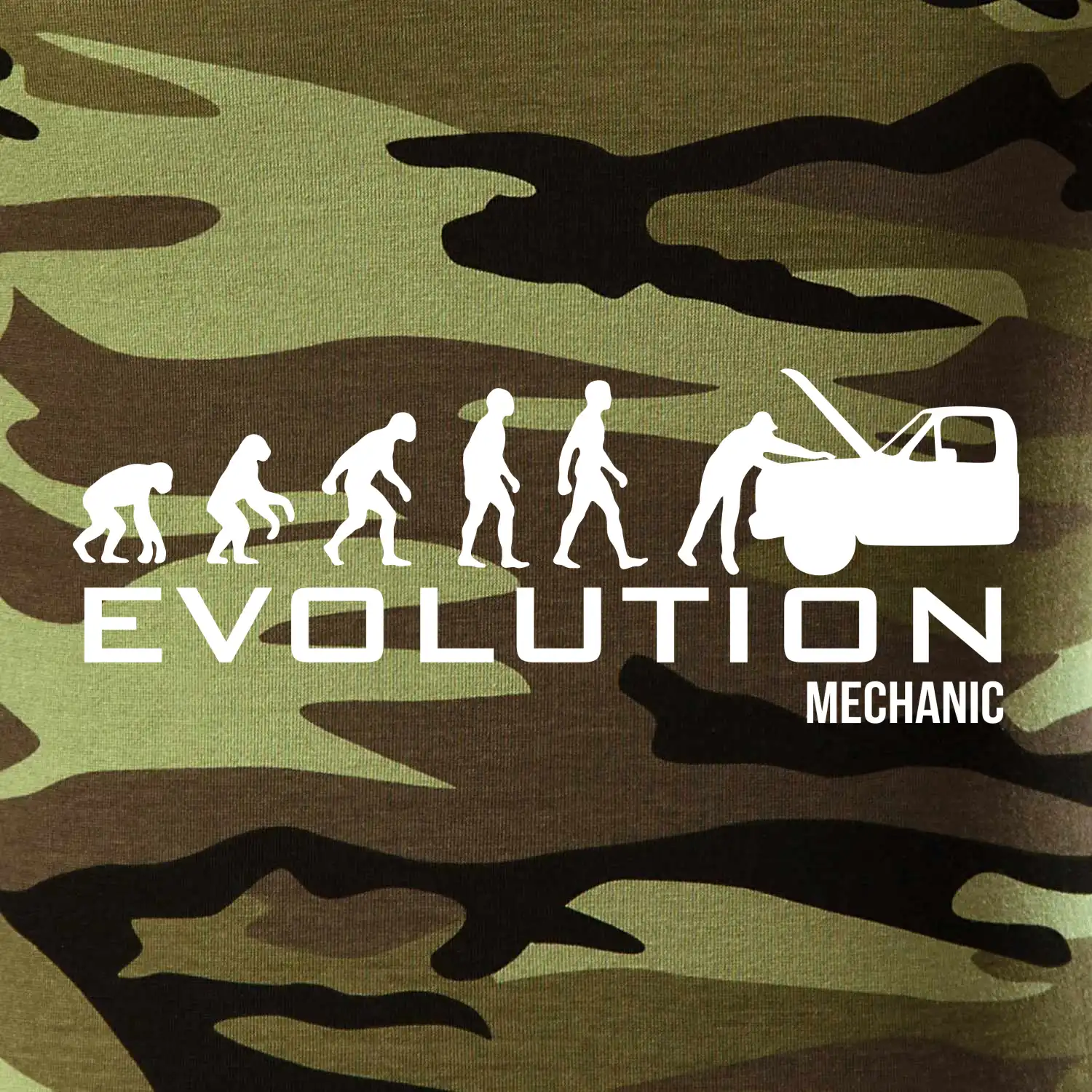 Evoluce mechanik