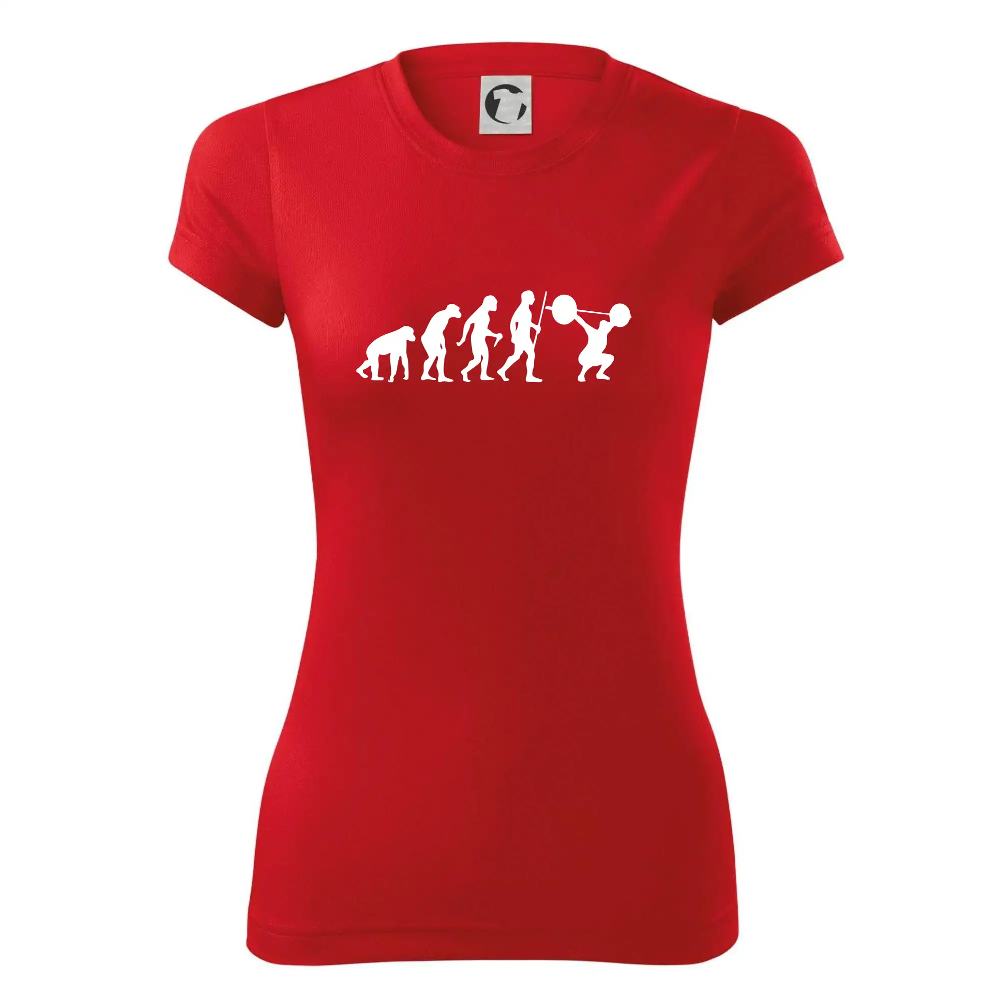 Evolution fitness