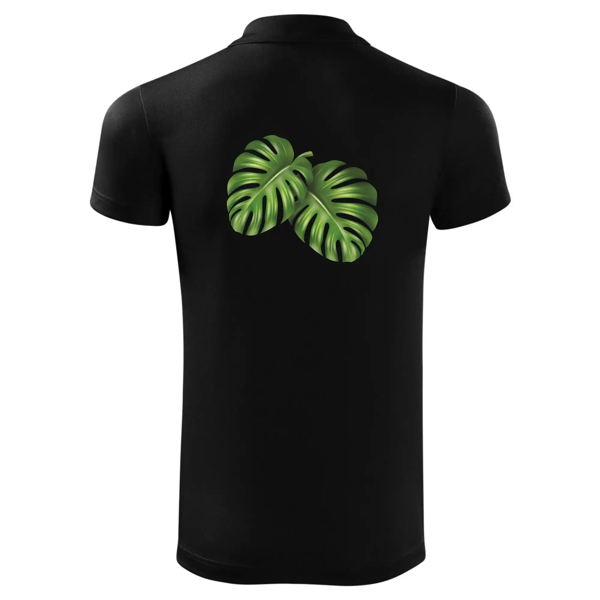 Monstera - dva listy