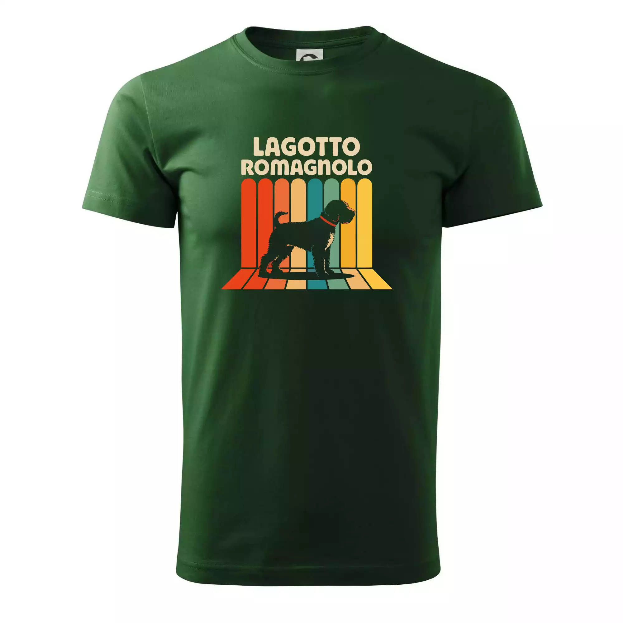 Lagotto romagnolo vintage