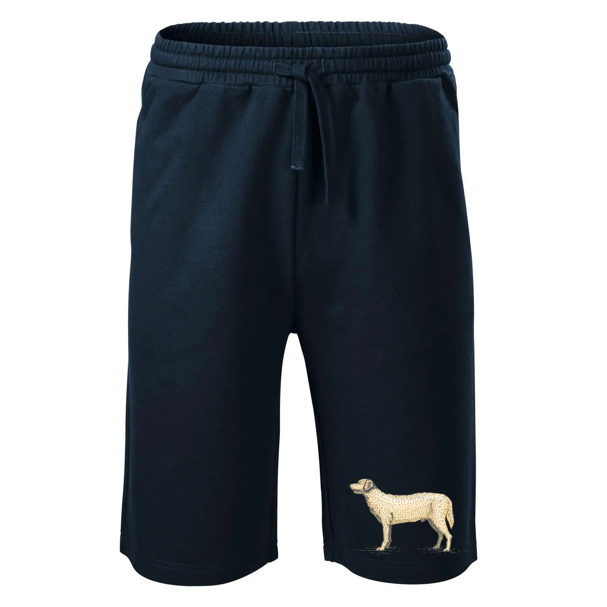 Vintage Labrador