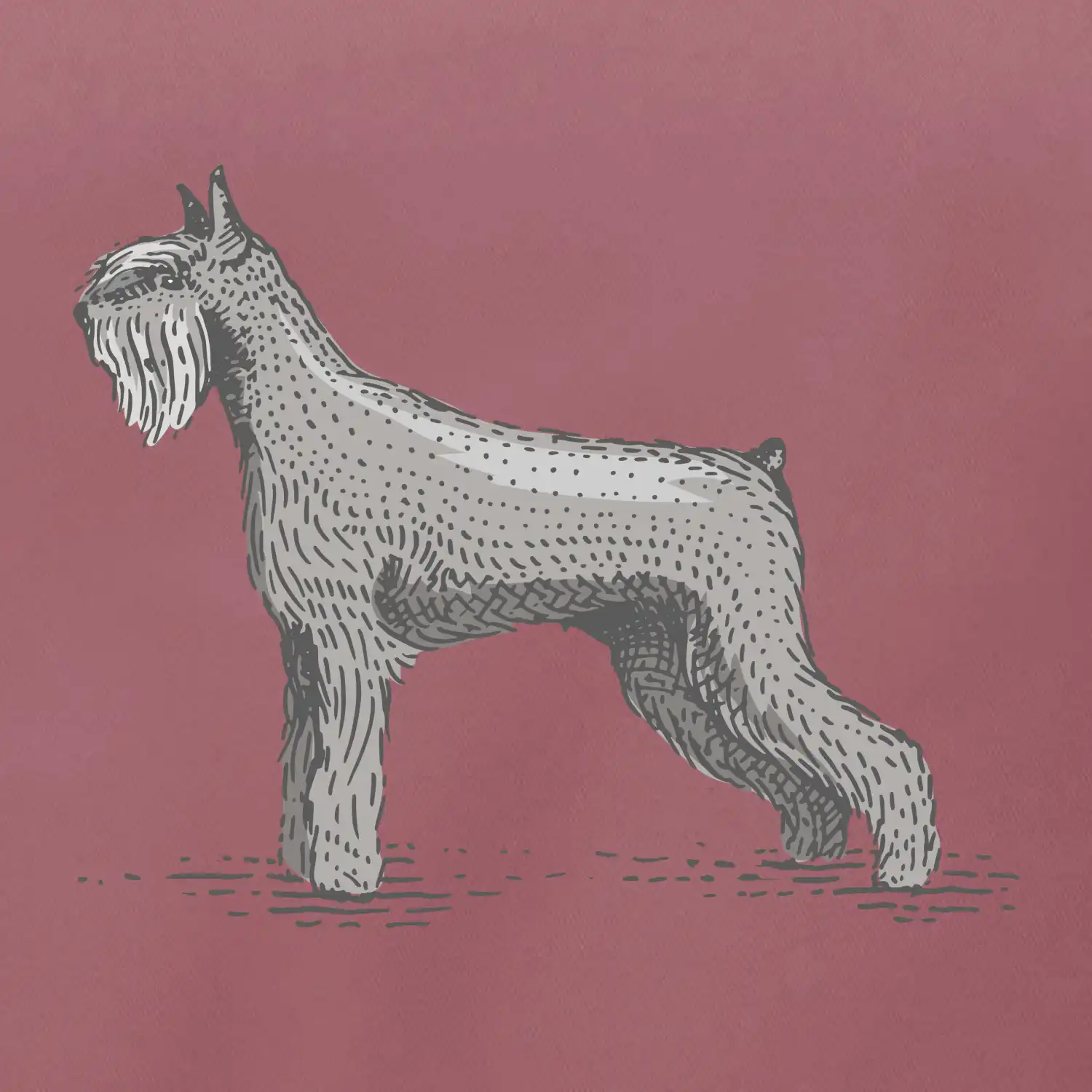 Vintage Schnauzer