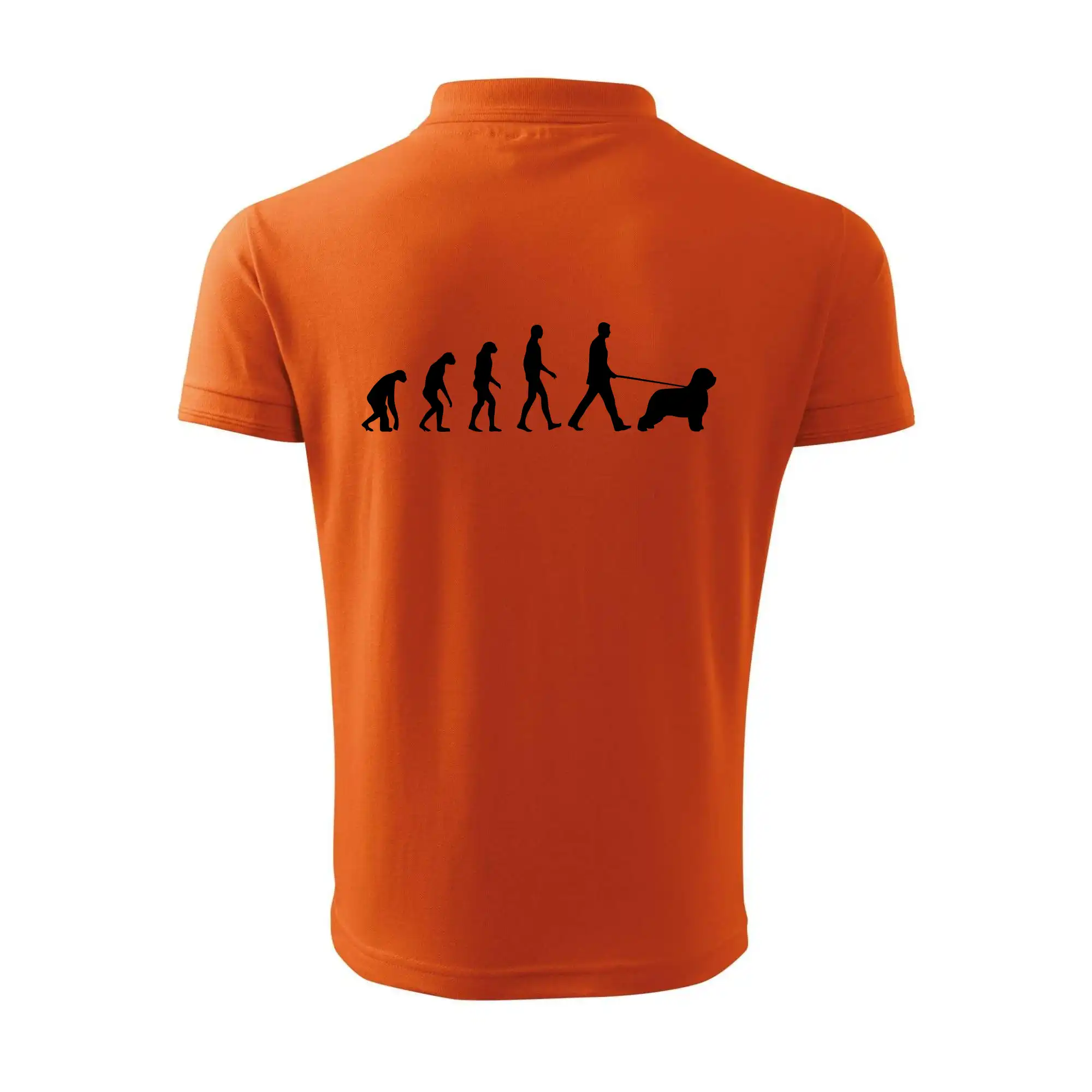 Evoluce pes Briard