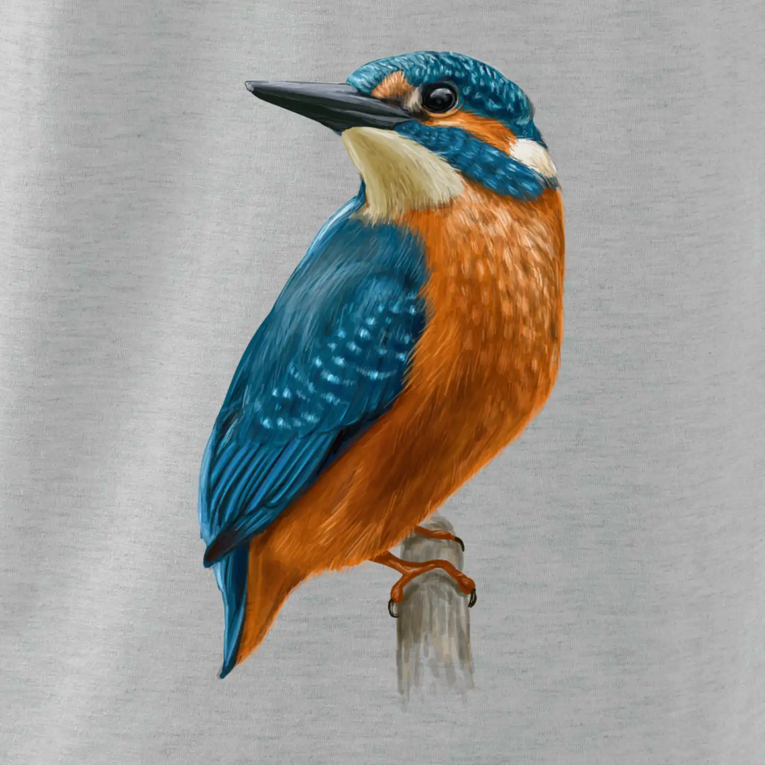 Lednáček kreslený