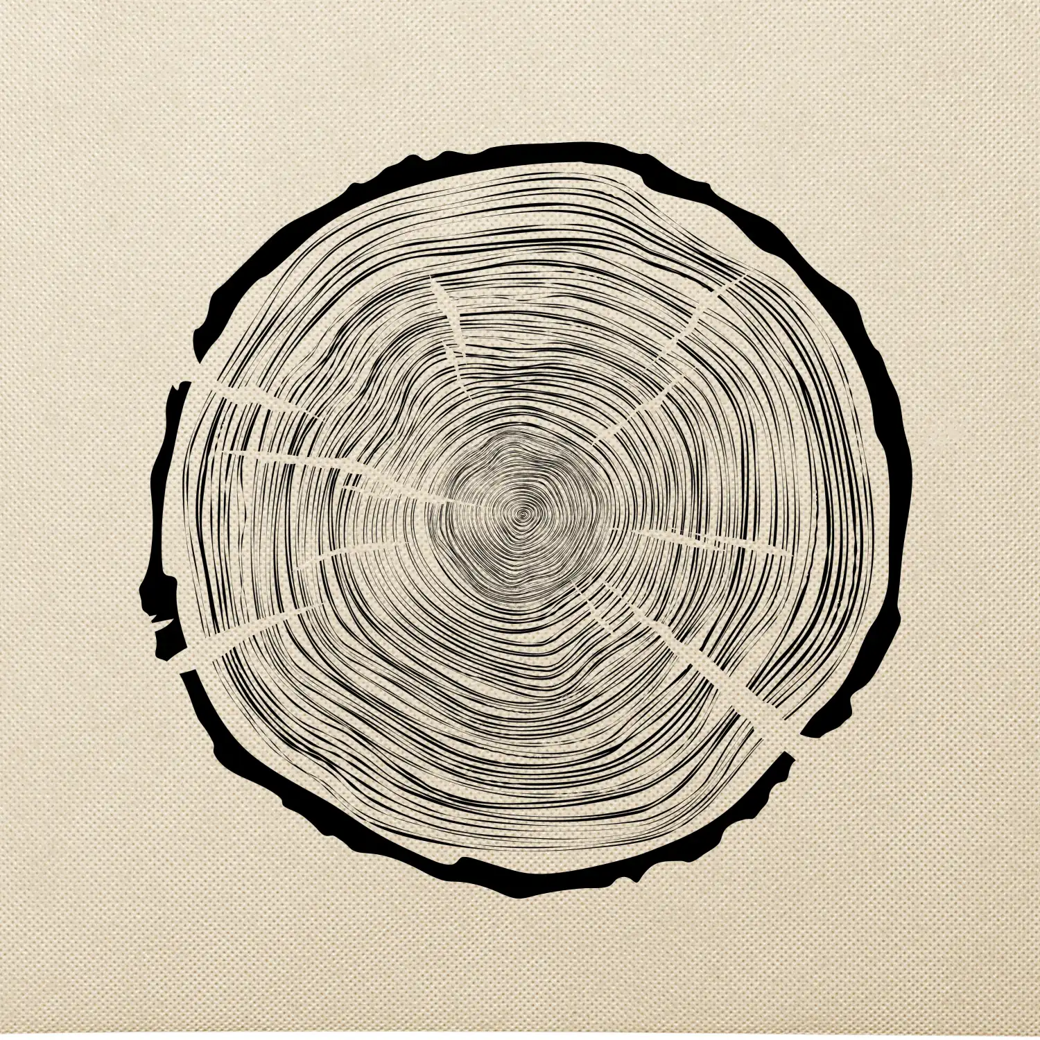 Letokruhy 100 bez věku