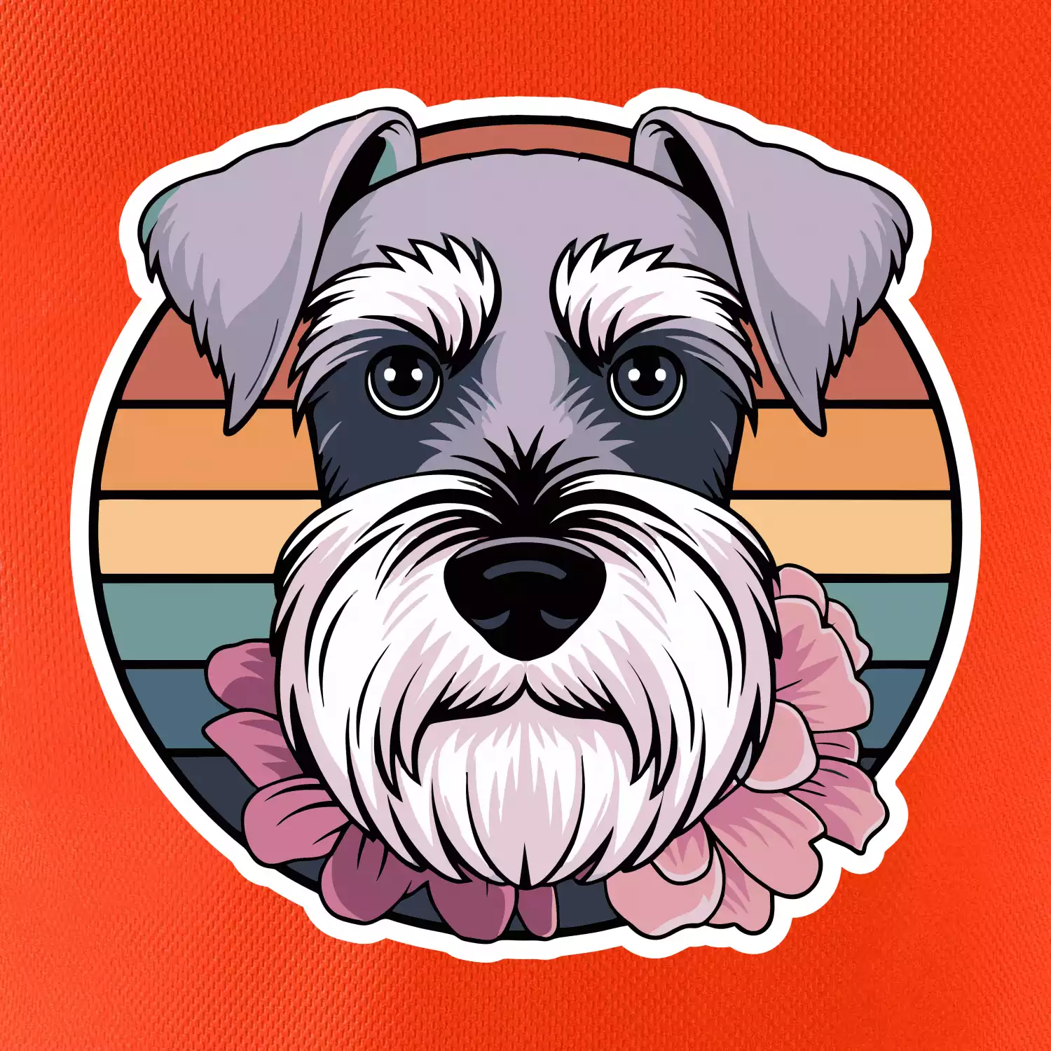 Knírač - fenka a květiny