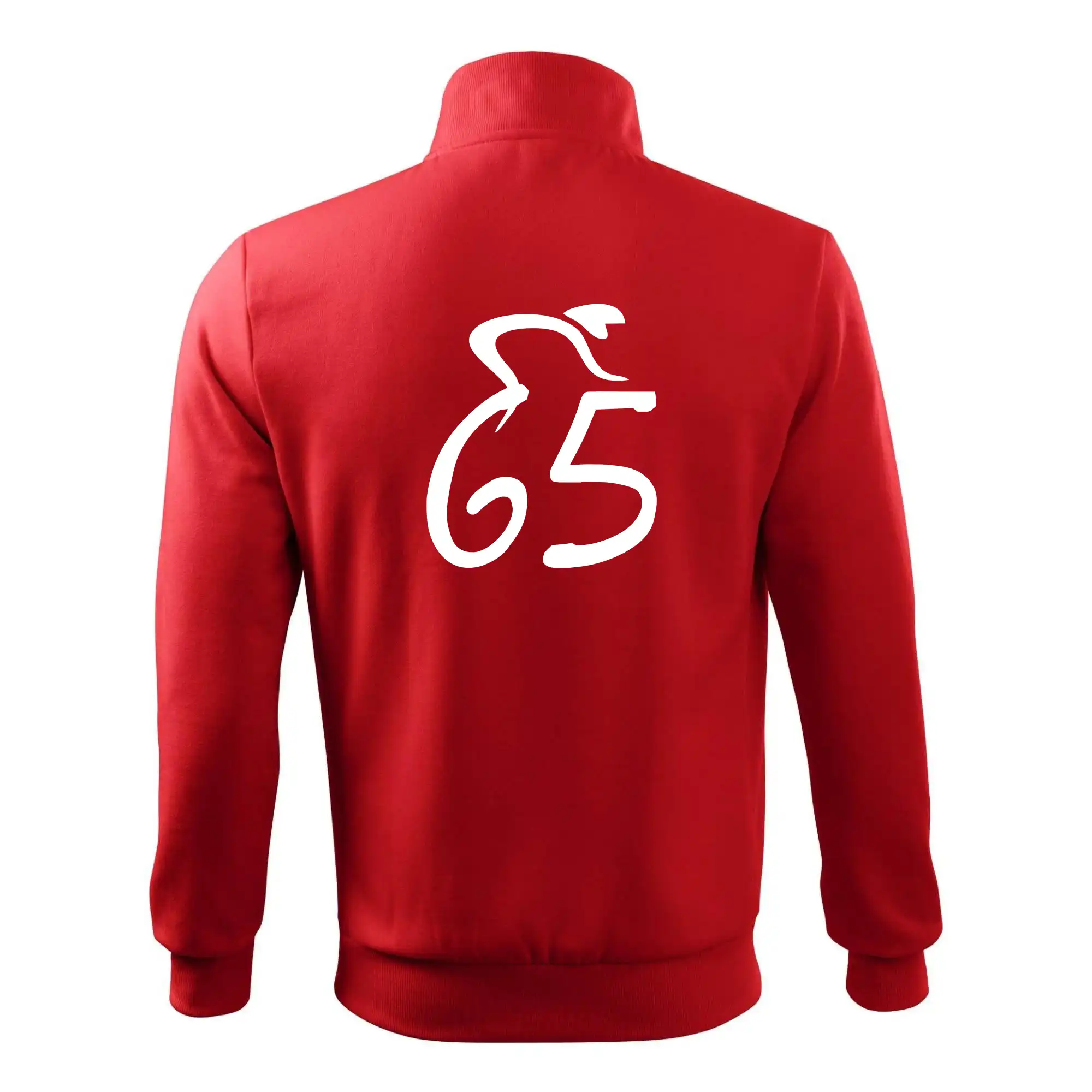 Cyklista slaví pětašedesátku (65)