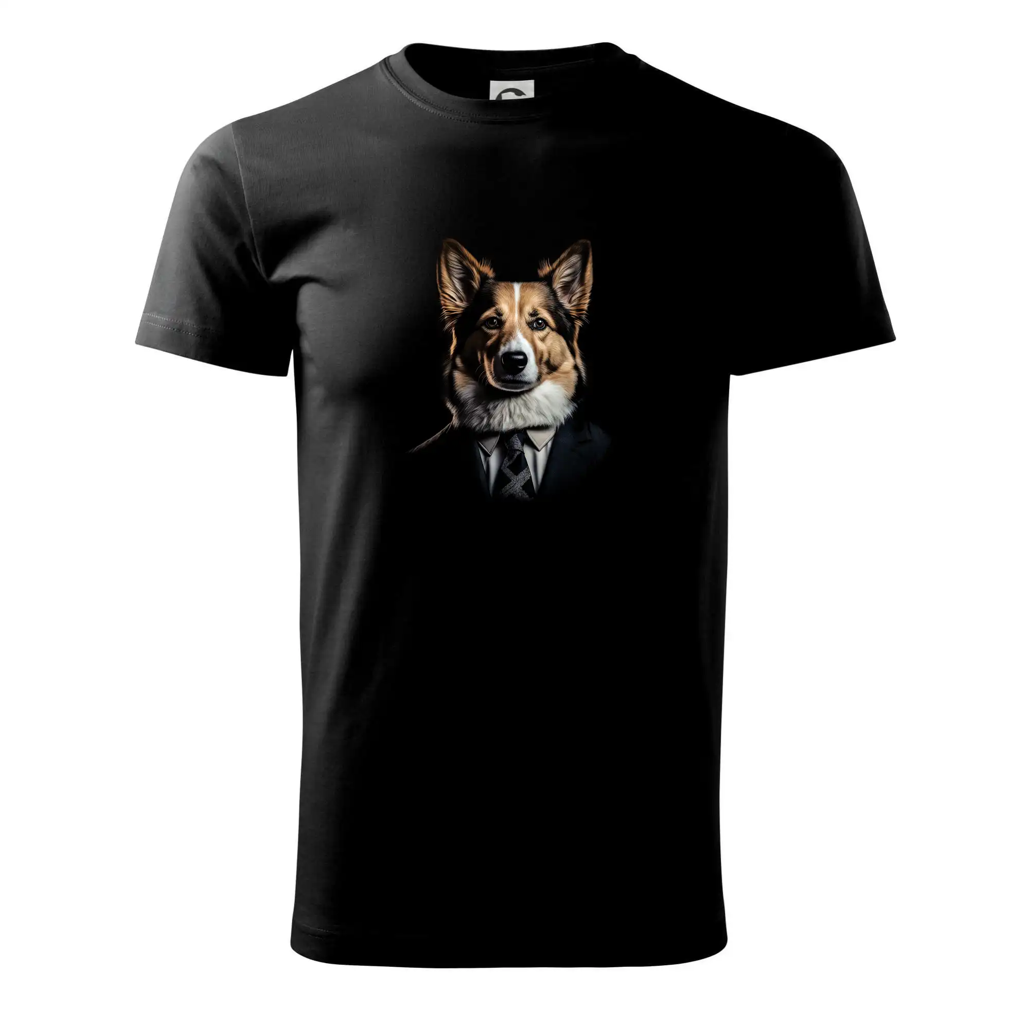 Corgi v obleku