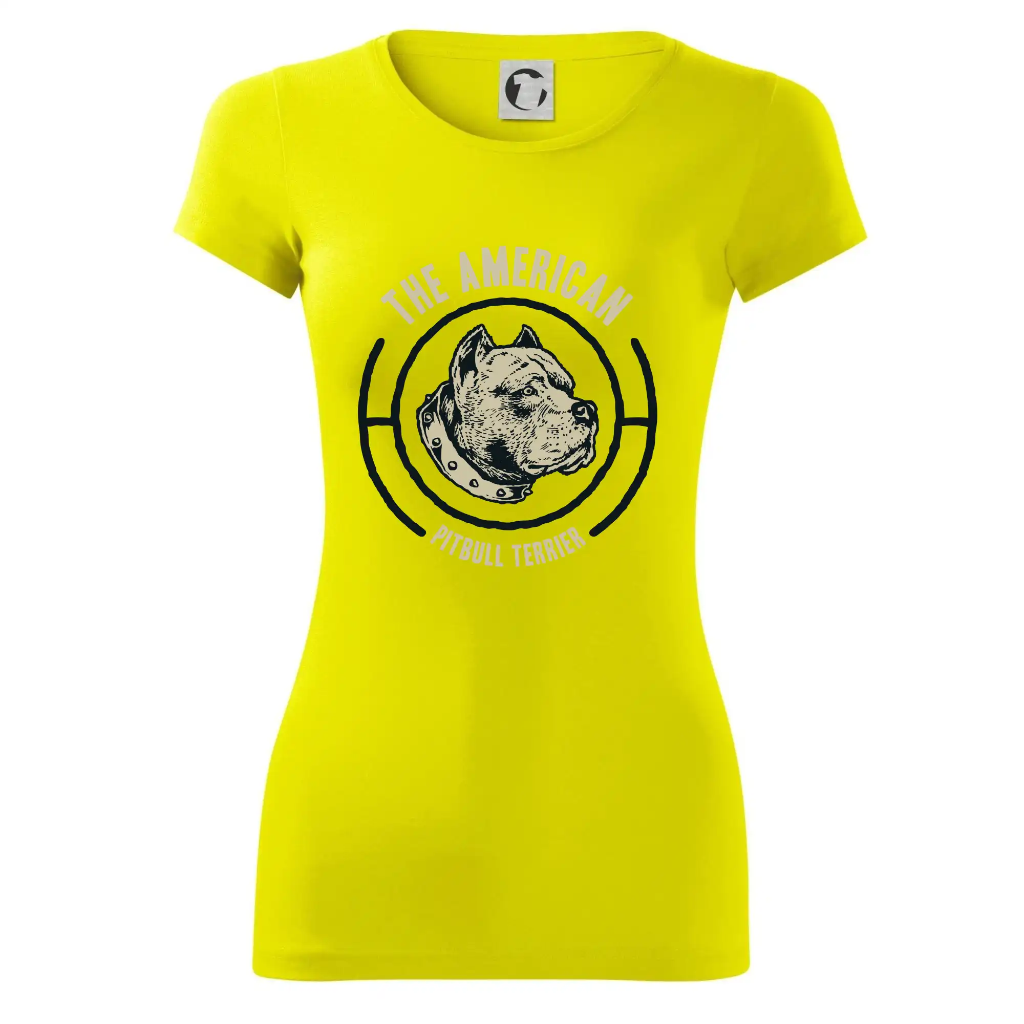 Americký pitbull terier hlava