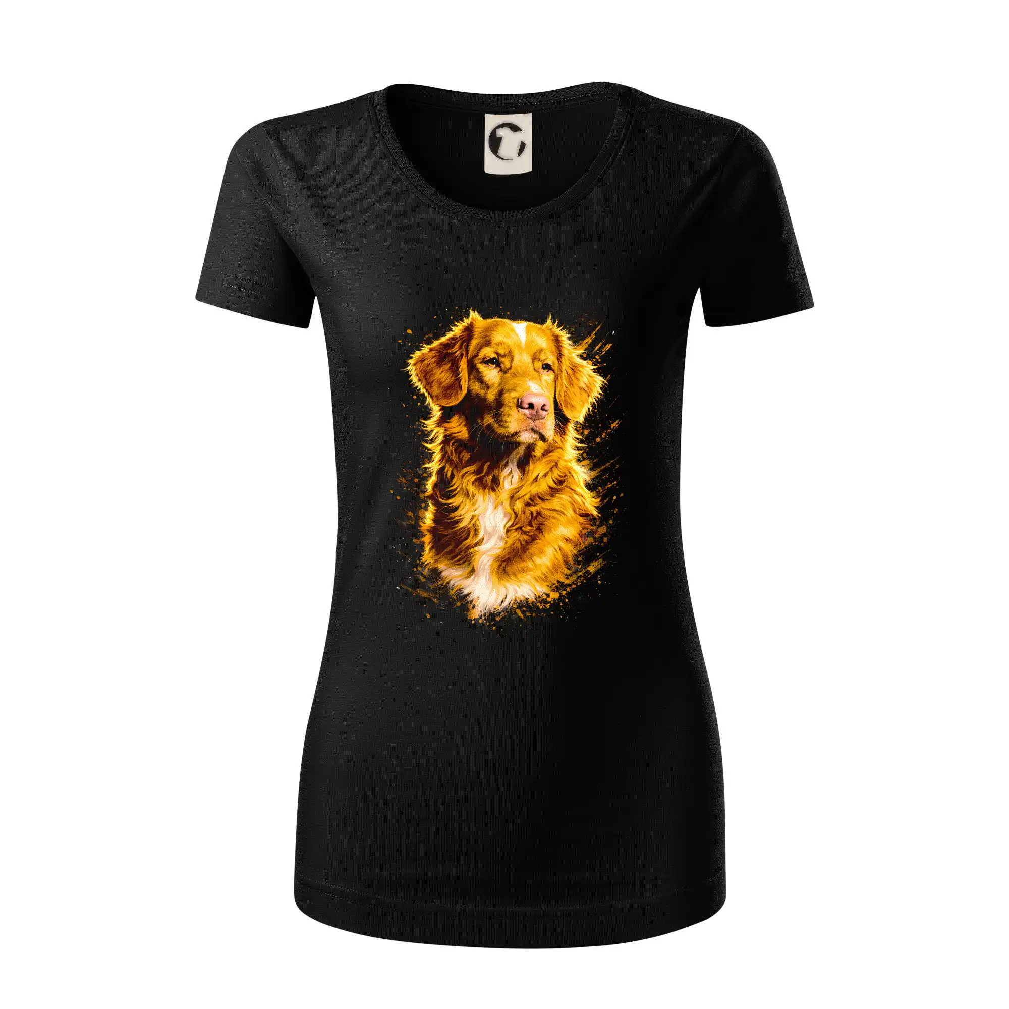 Obrázek polotón  Kanadský retrívr (Nova Scotia Duck Tolling Retriever)