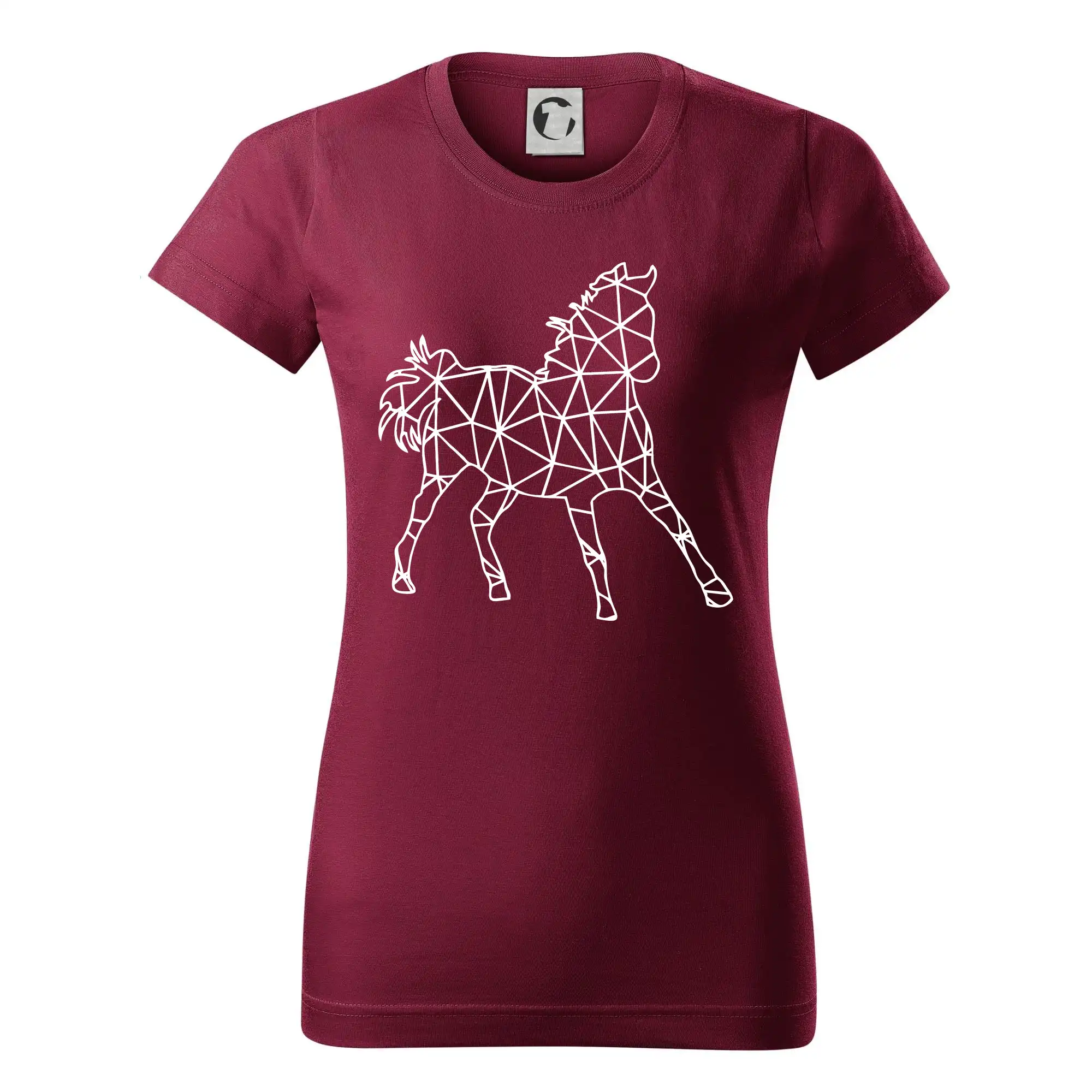 Geometrie - kůň jednobarevná