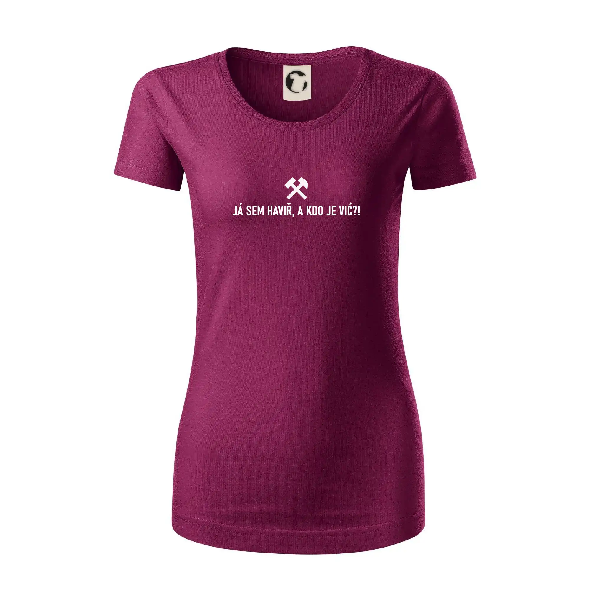 JÁ SEM HAVIŘ, A KDO JE VIĆ?!﻿