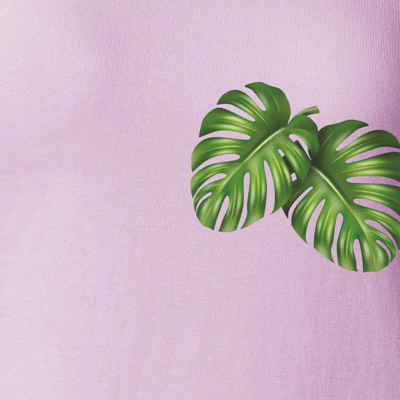 Monstera listy na prsu