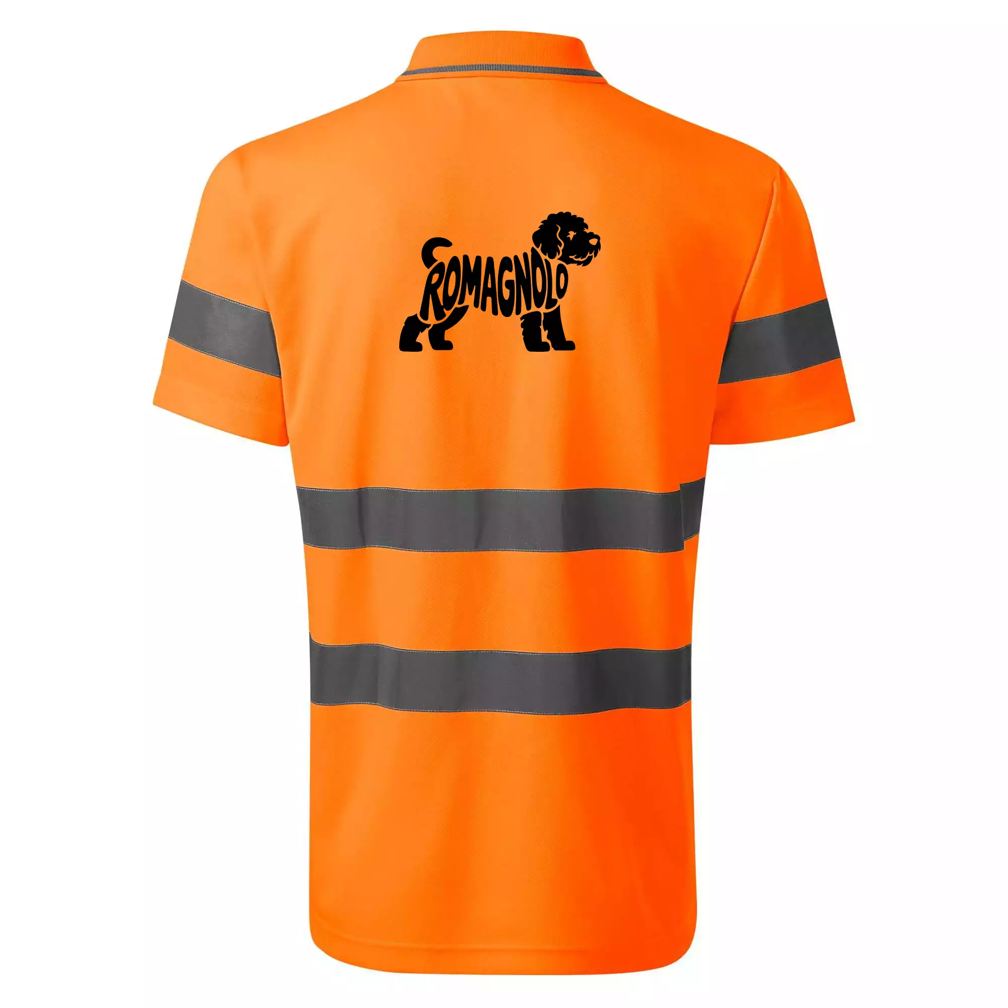 Romagnolo nápis v těle