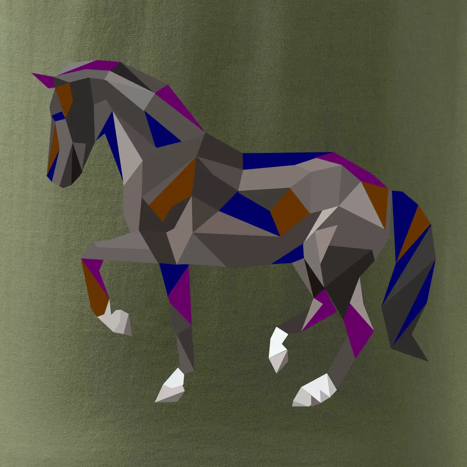 Kůň geometrie barevný