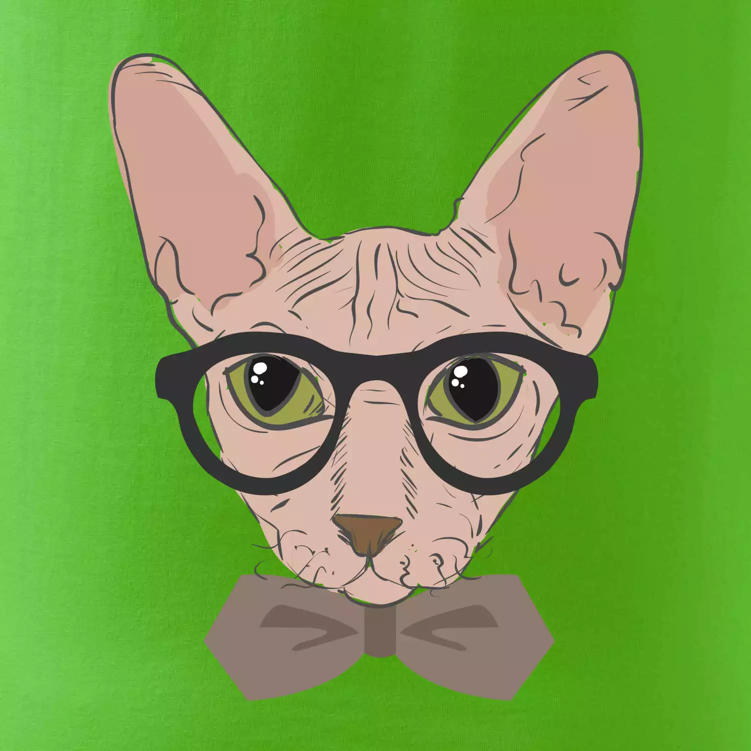 Hipster sphynx