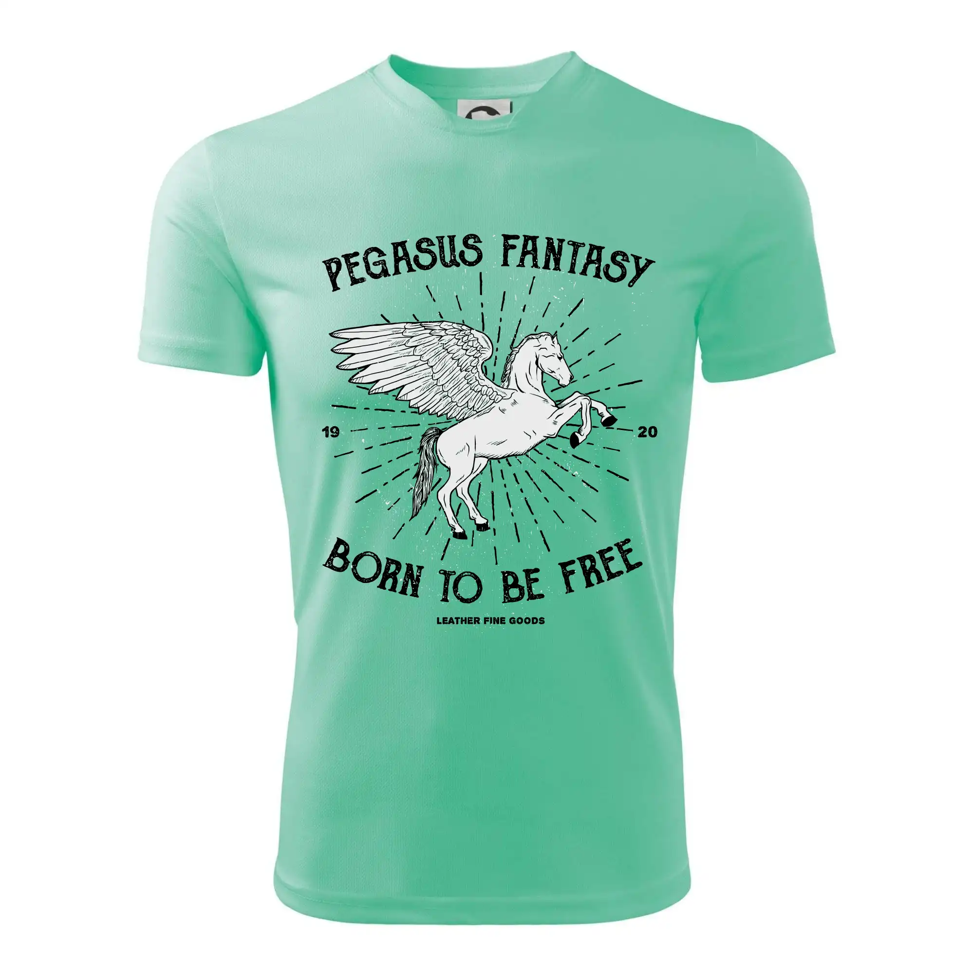 Pegasus fantasy