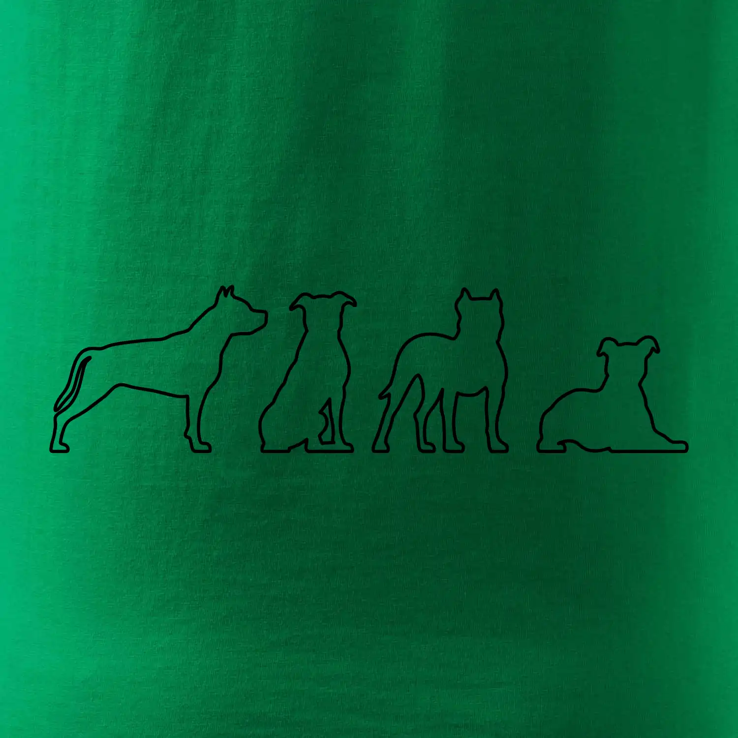 Americký stafordširský teriér v různých pozicích