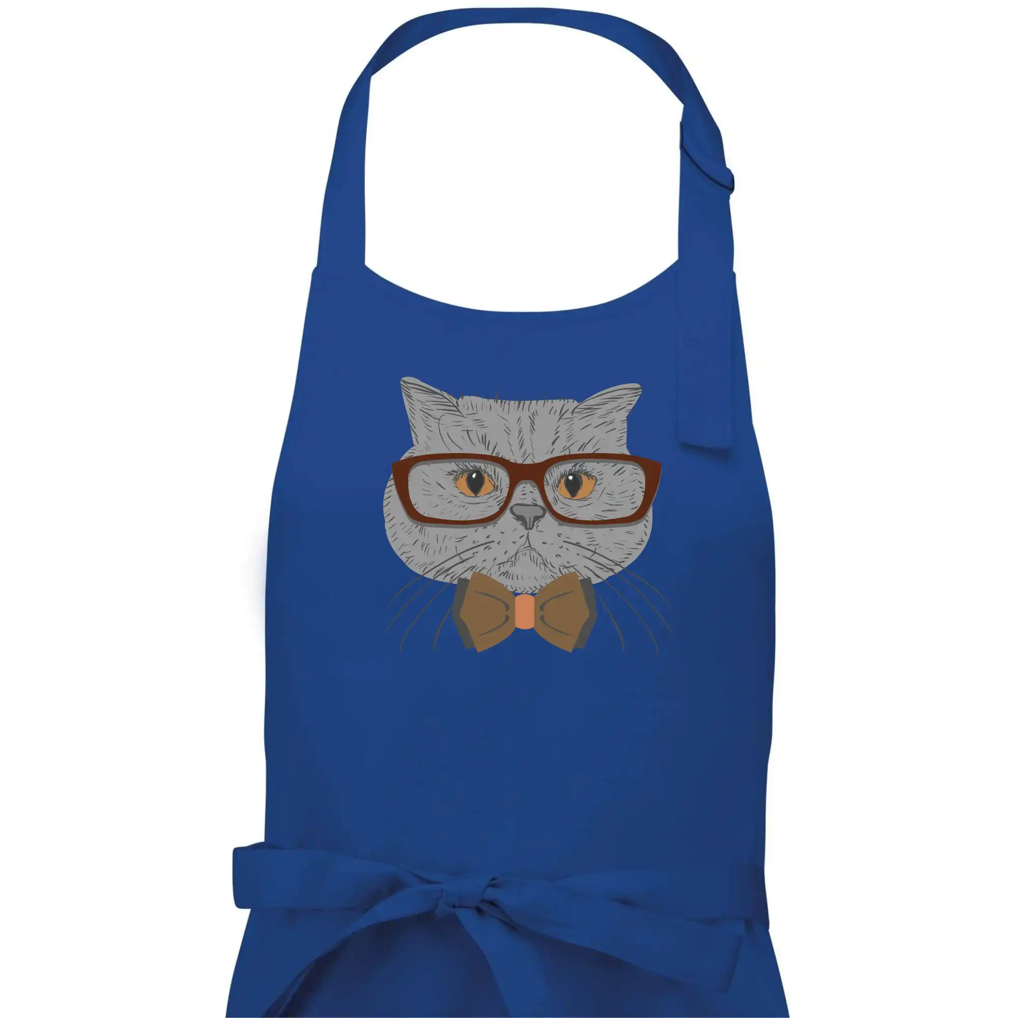 Hipster britská modrá