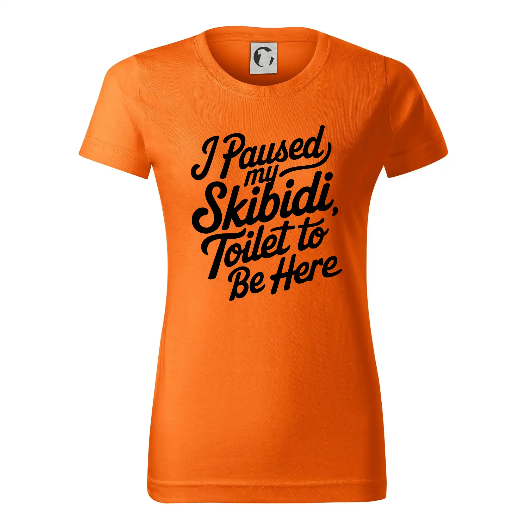 I Paused My Skibidi Toilet to be Here