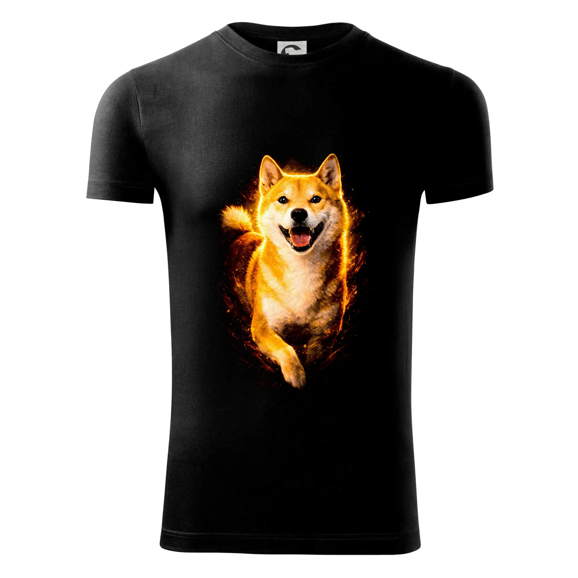 Obrázek polotón Shiba Inu bežící