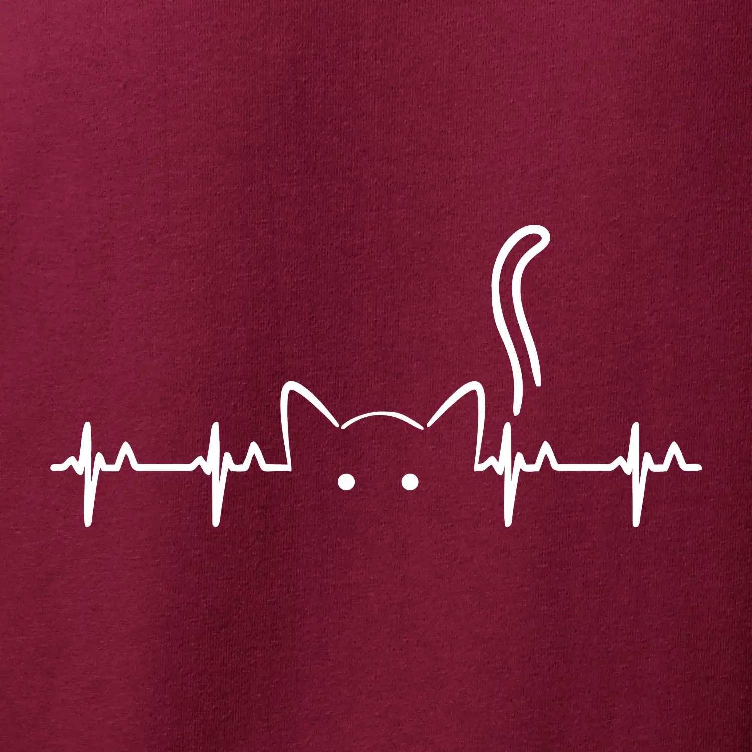 Kočka EKG