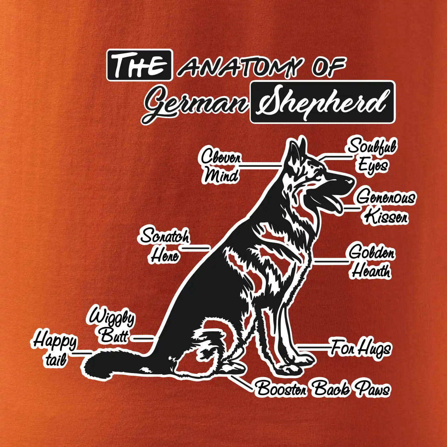 Německý ovčák - Anatomie