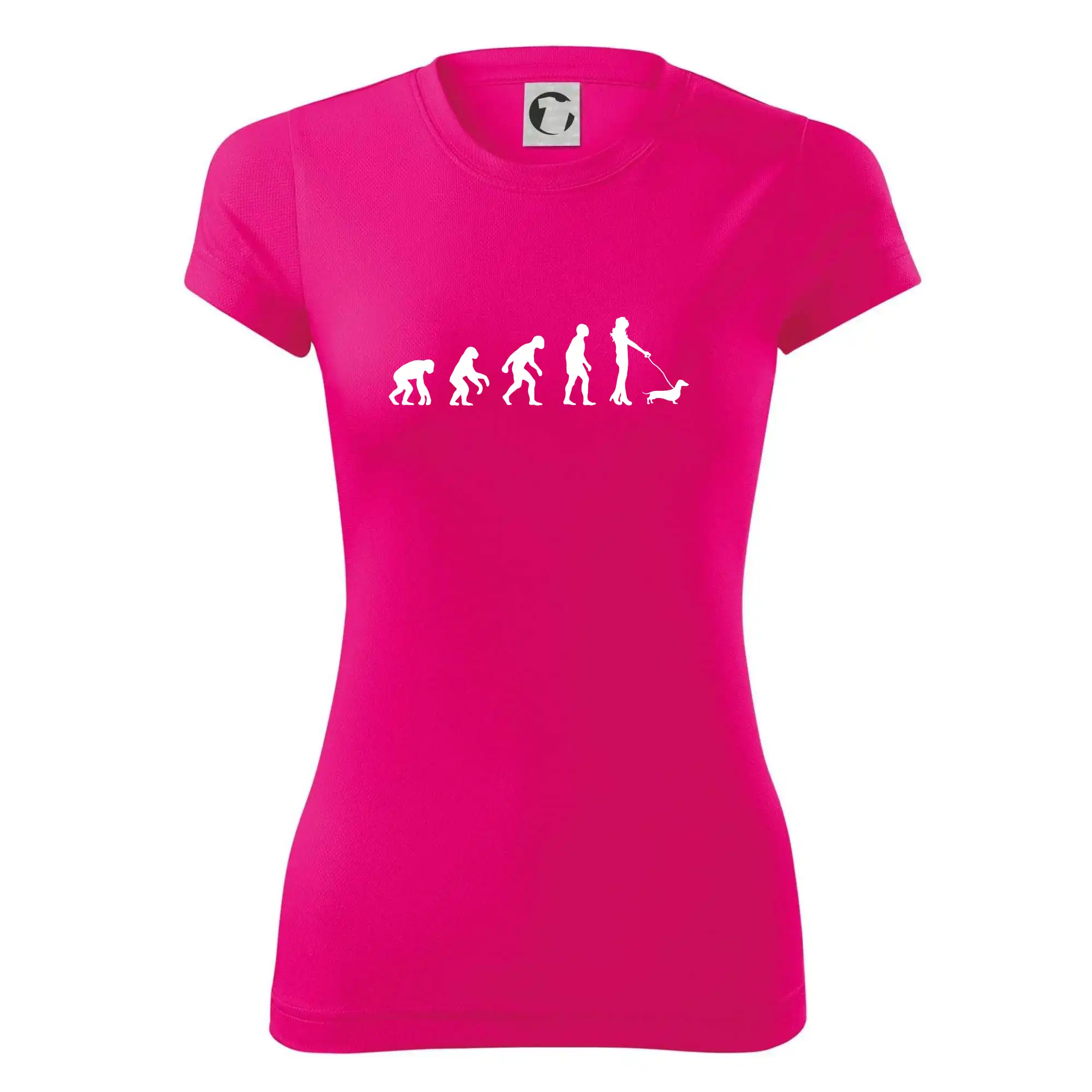 Jezevčík Evoluce žena