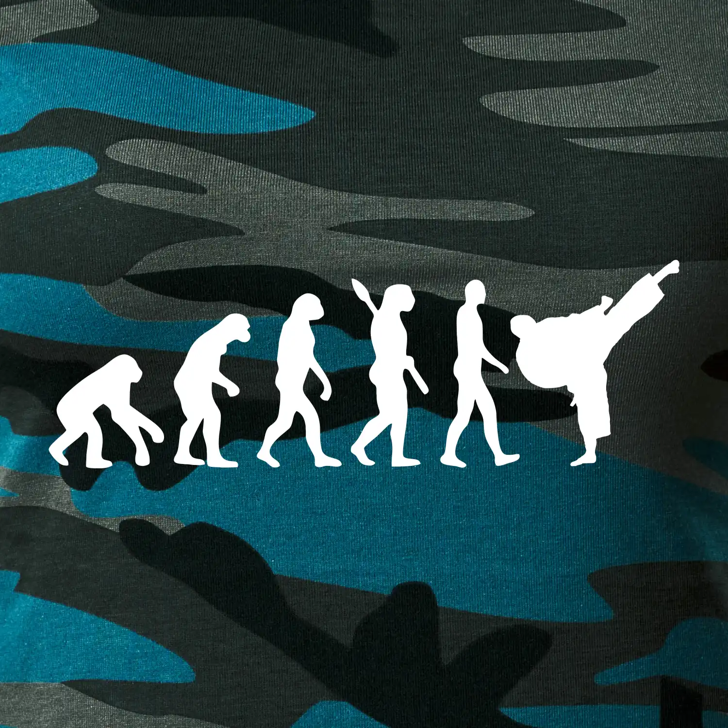 Karate Evoluce - kop