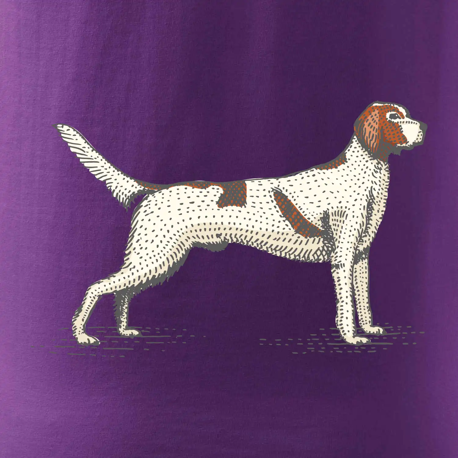 Vintage Setter