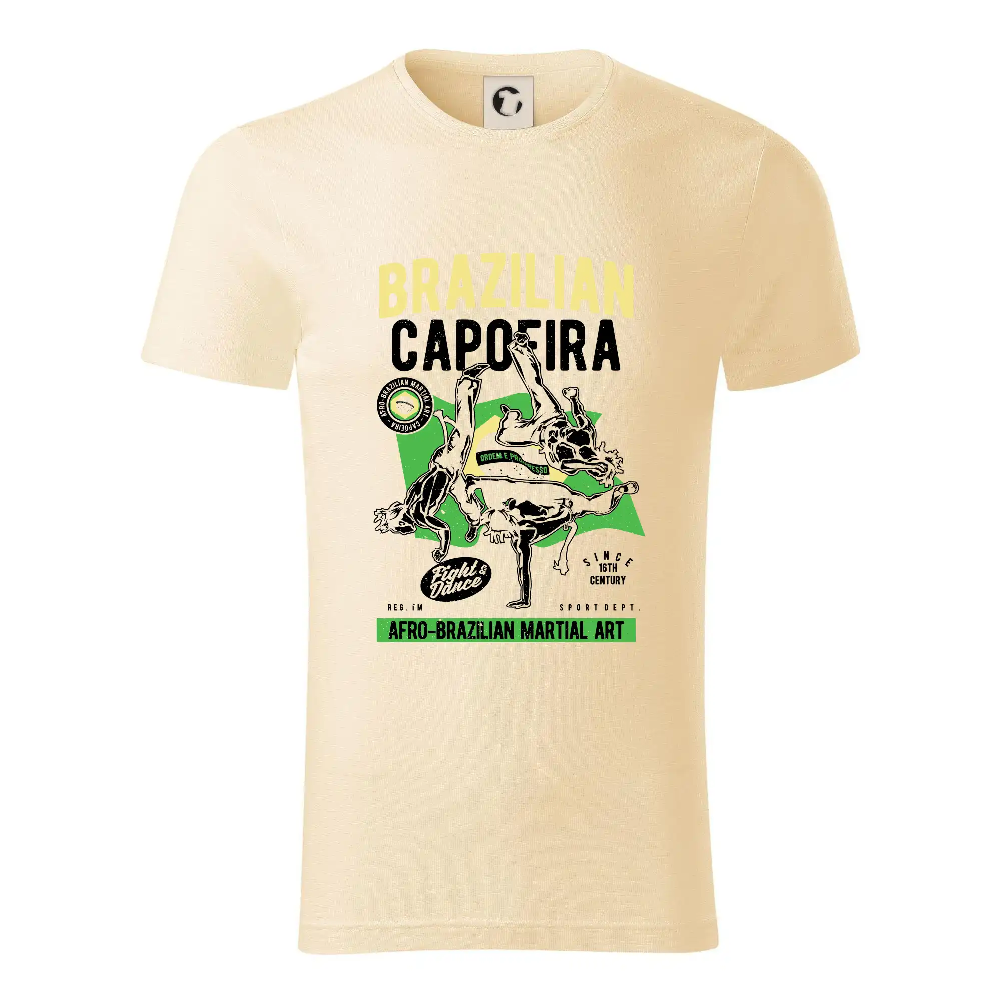 Brazilian Capoeira