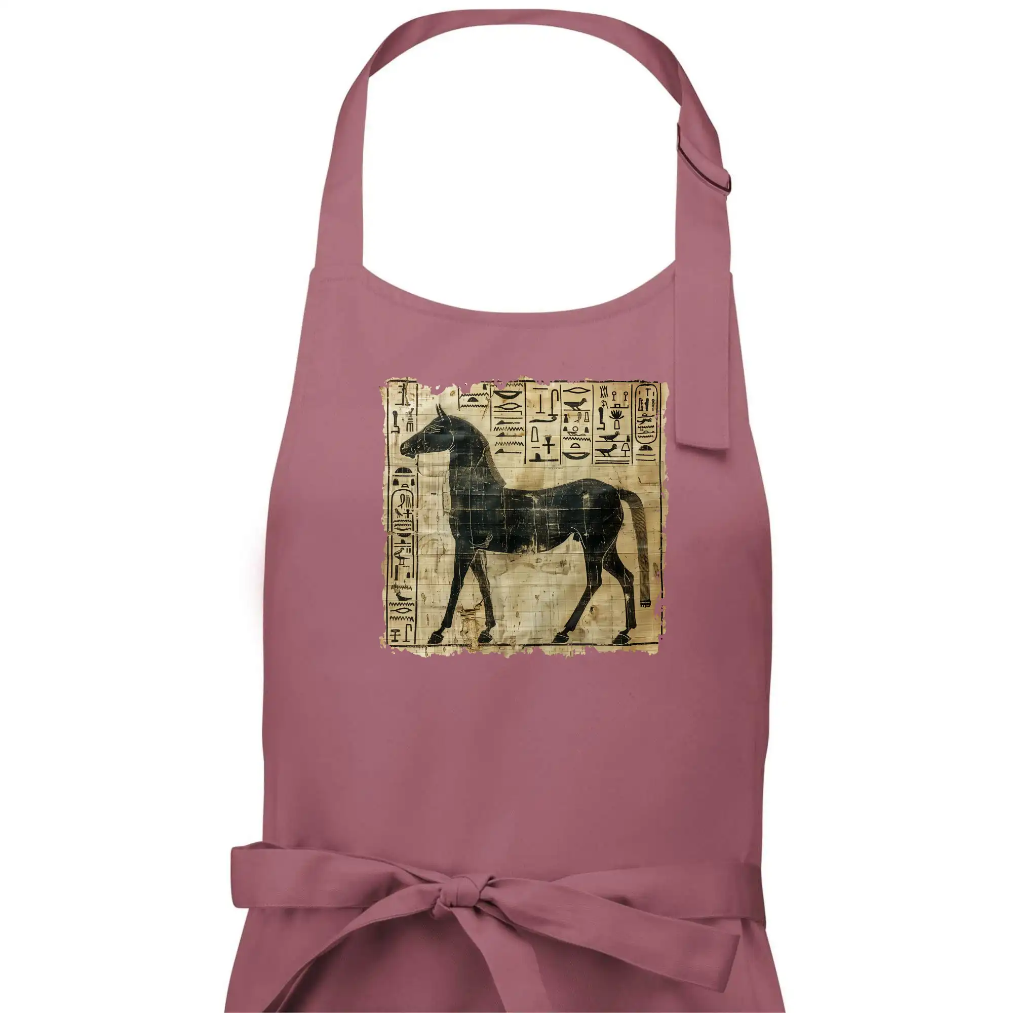 Egyptské hieroglyfy kůň